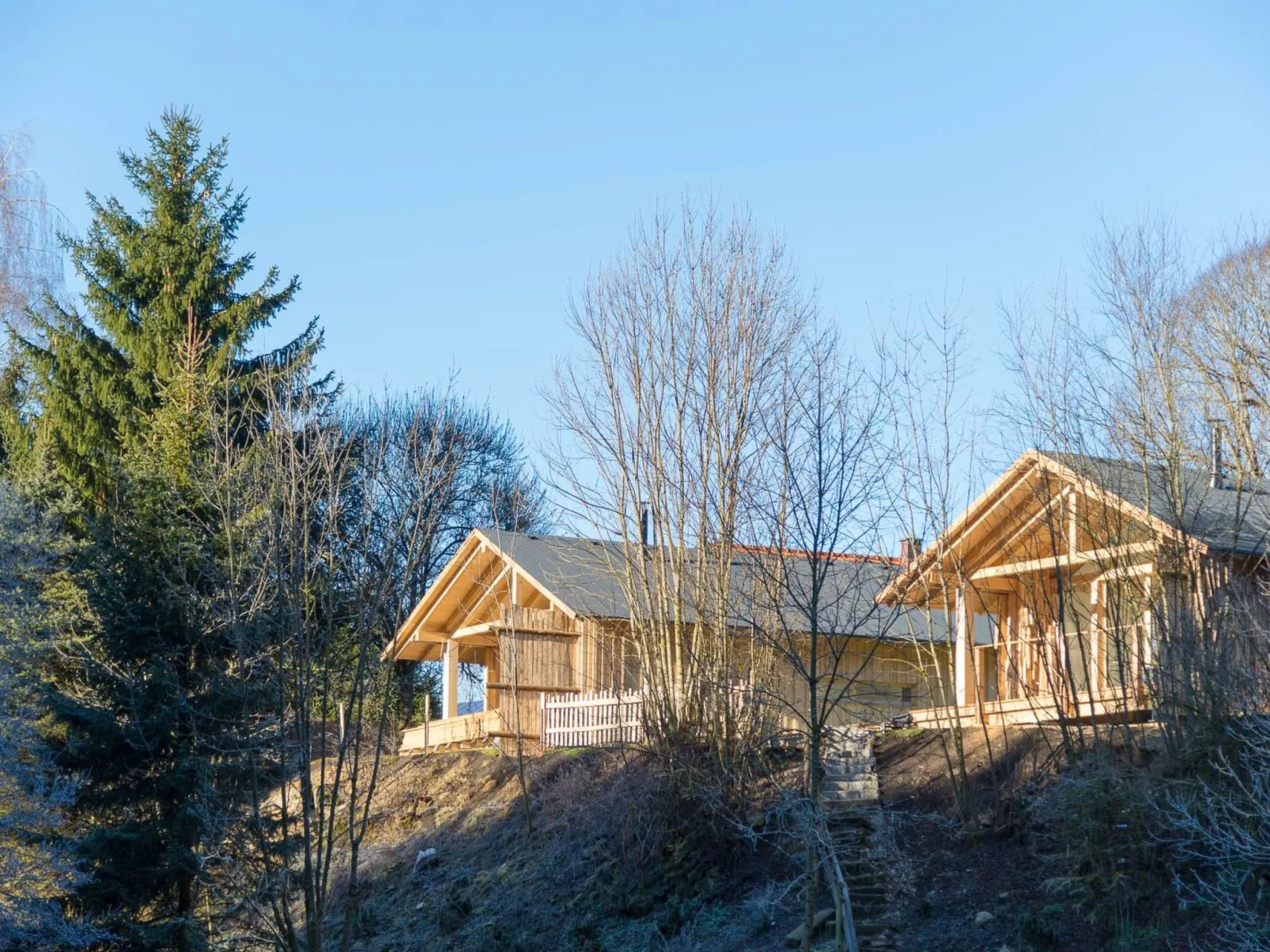 Oheblick-Image-tags.info