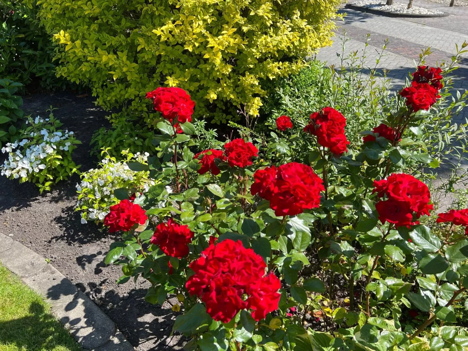 Strandnah Ilse Hans-Image-tags.info