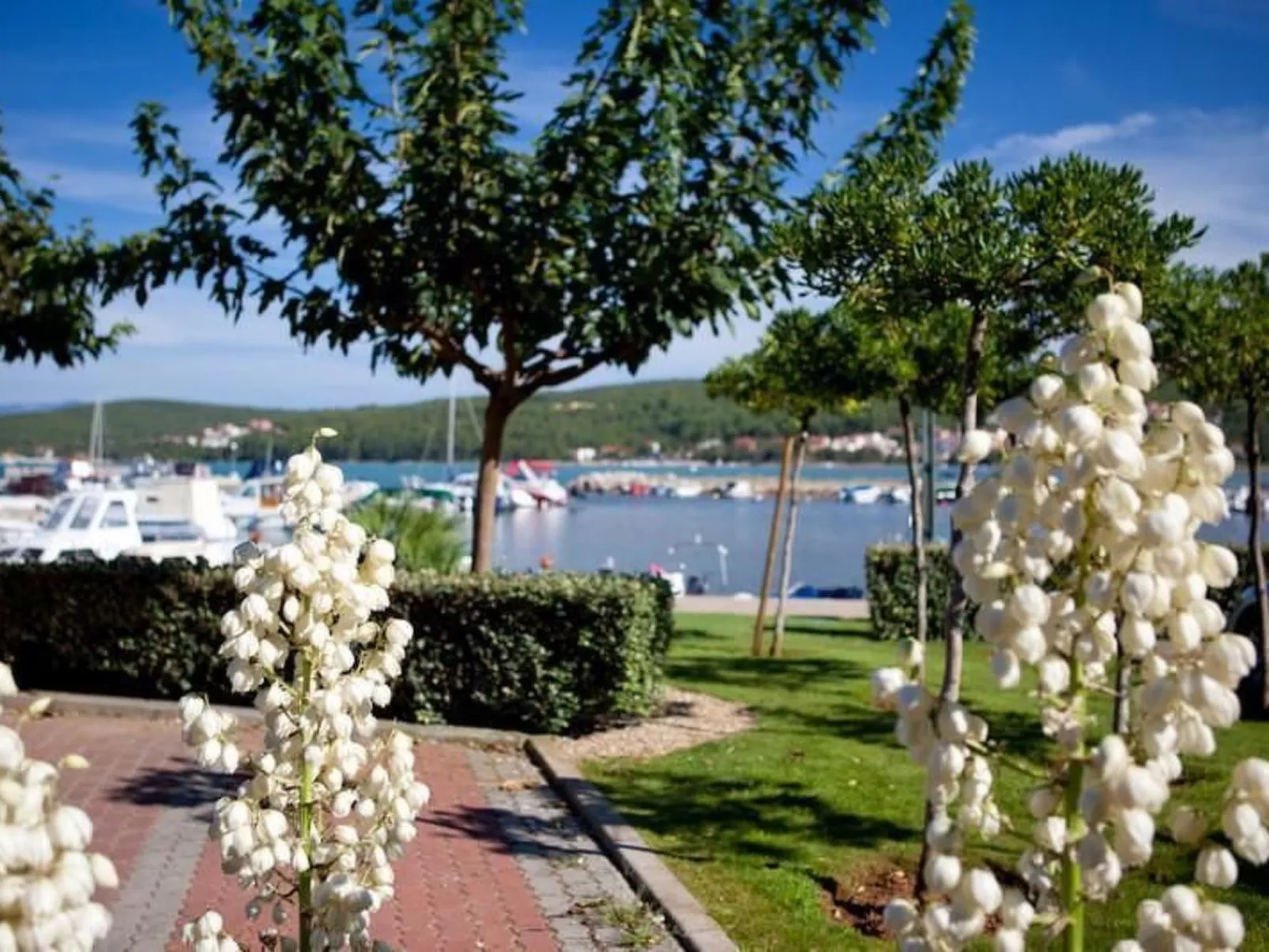 Gemütliche Wohnung 3 mit Meerblick-Binnen