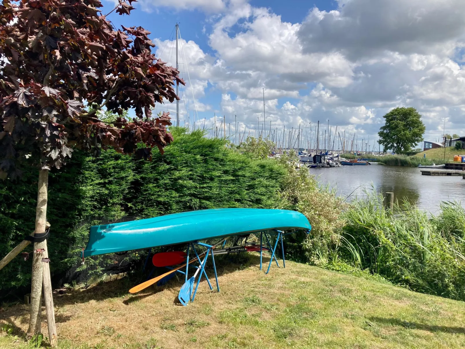 In Anjum mit Kleinem Garten-Buiten