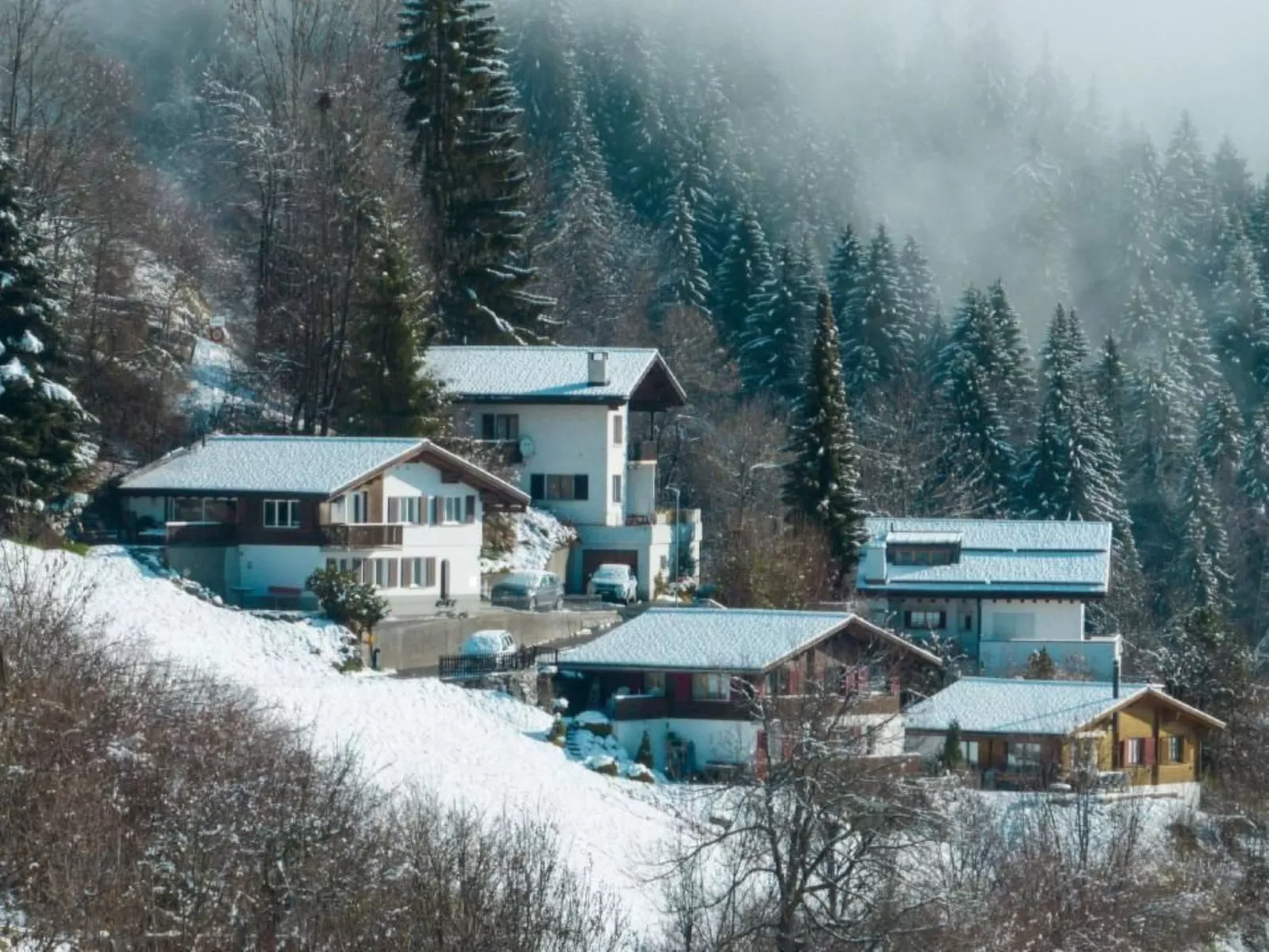 Casa Campanula-Binnen