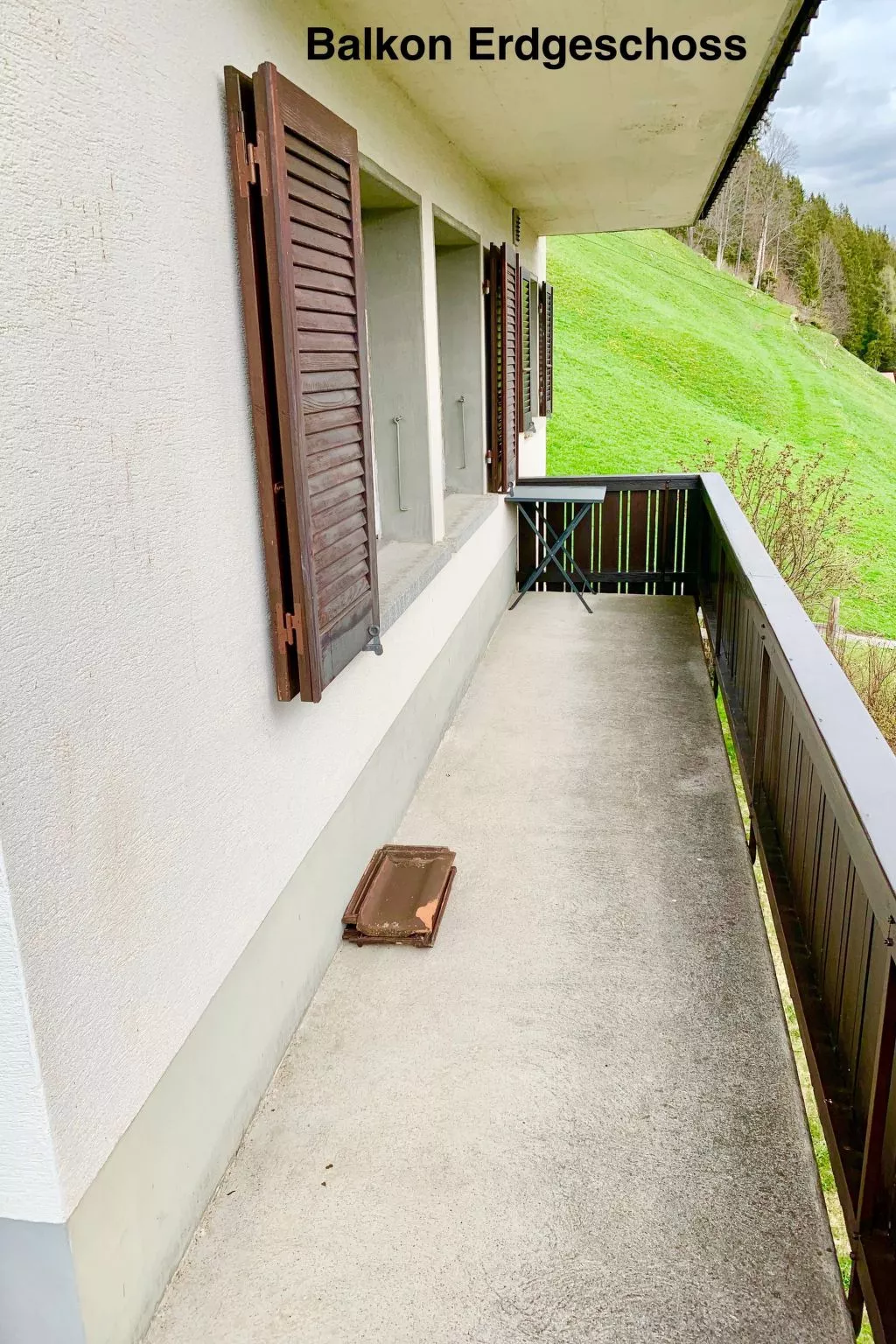 Panorama Adelboden-Buiten
