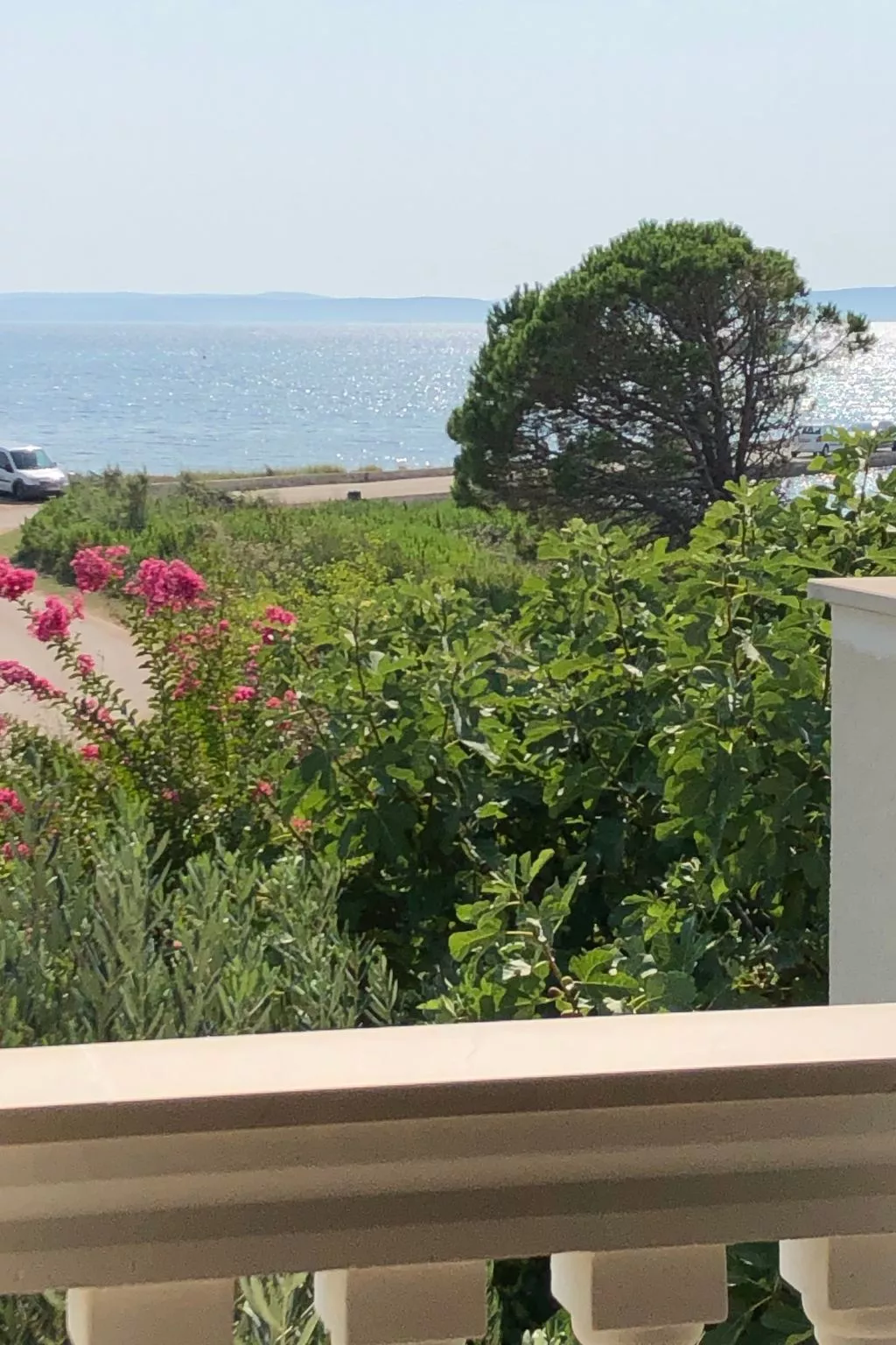 Villa Olive Grove-Binnen