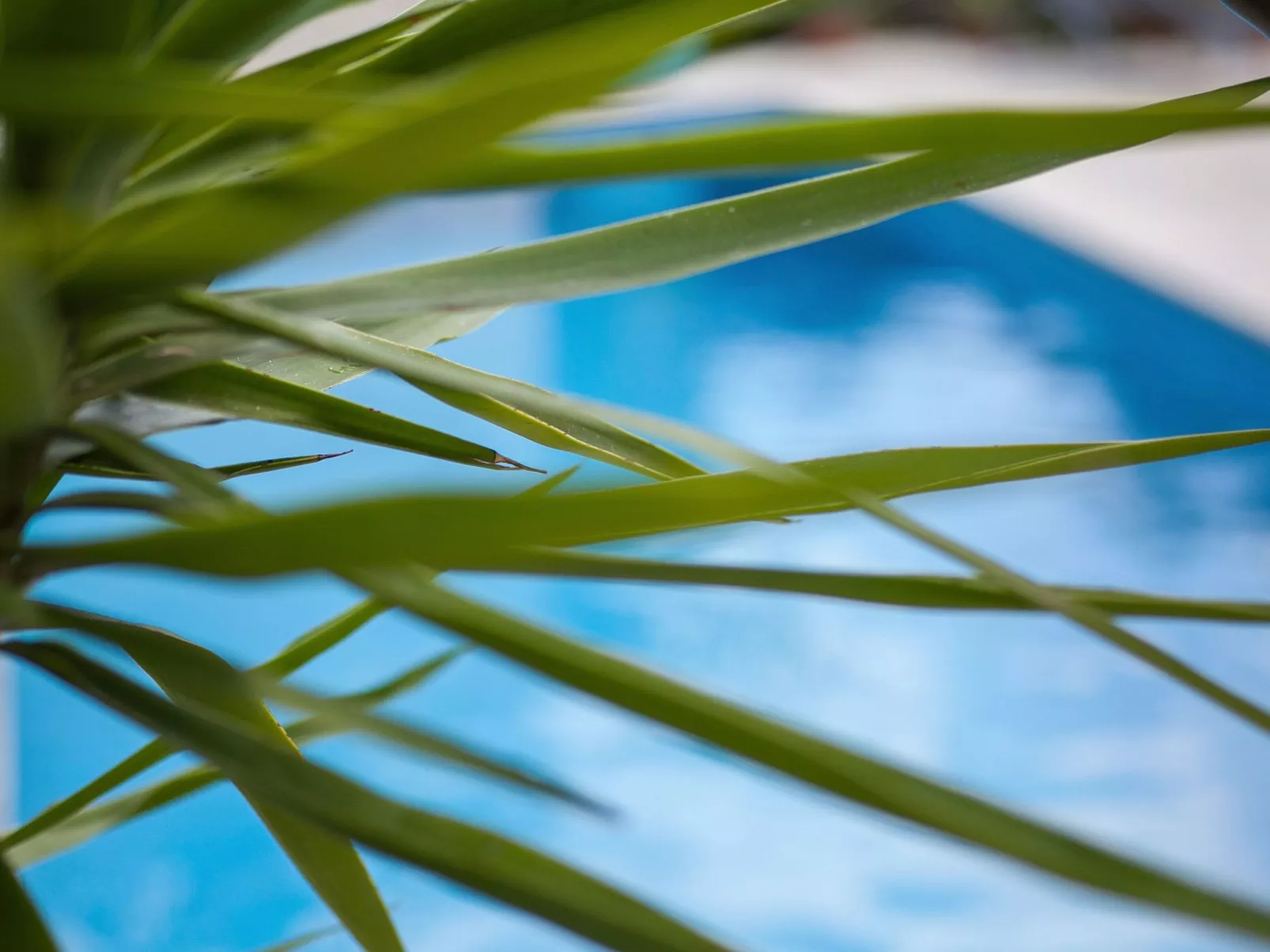 Kulturerbe-Villa-Buiten