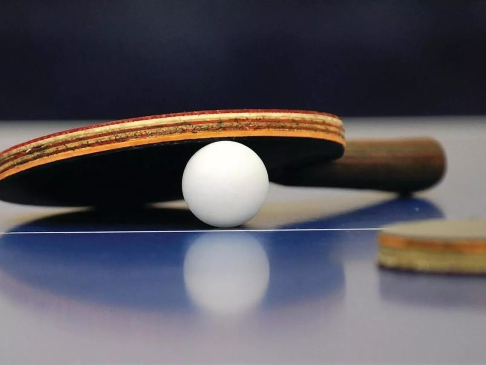 Villa "Magnolia" mit Schwimmbad, Sauna und Jacuzzi-Binnen