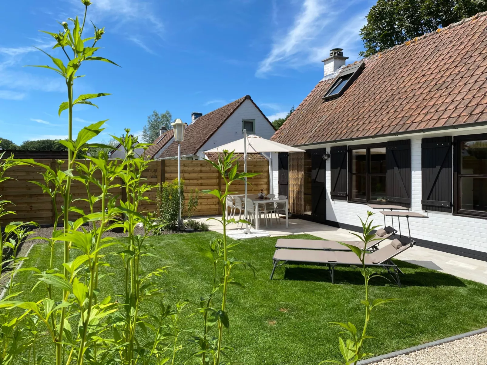 Zonnewind in der Nähe von Dünen und Wald-Buiten