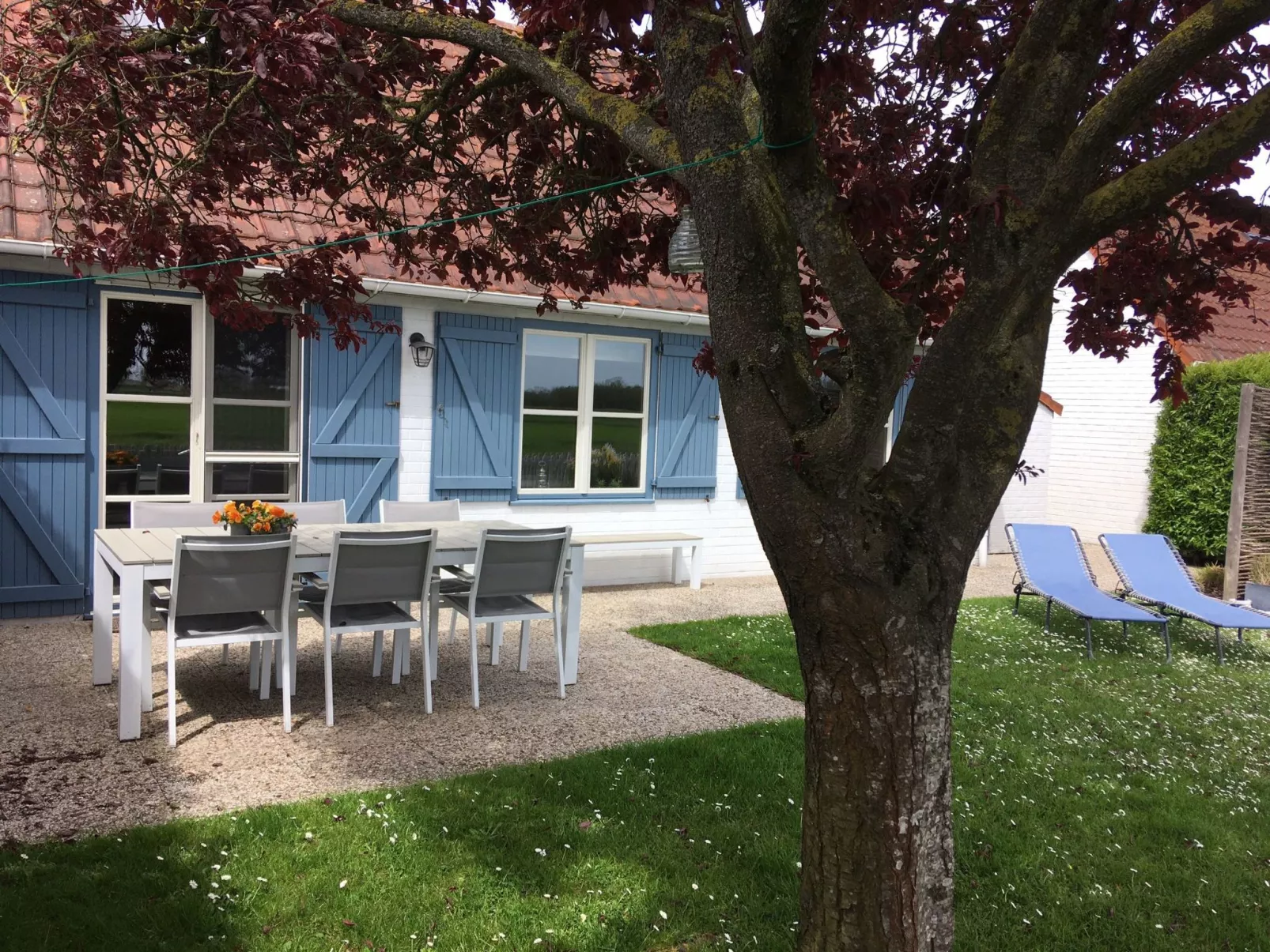 Polderwind mit Blick auf die Felder - Buiten