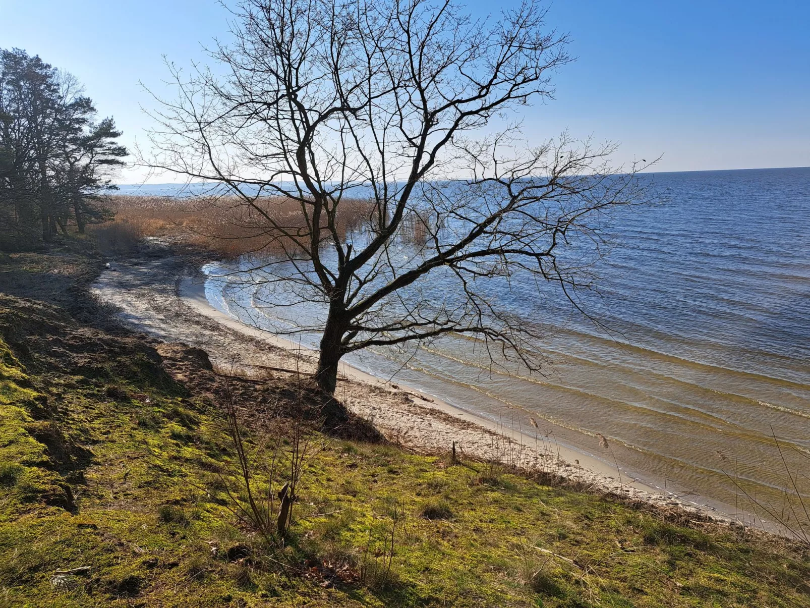 Mit Terrasse mitten im Grünen-Buiten