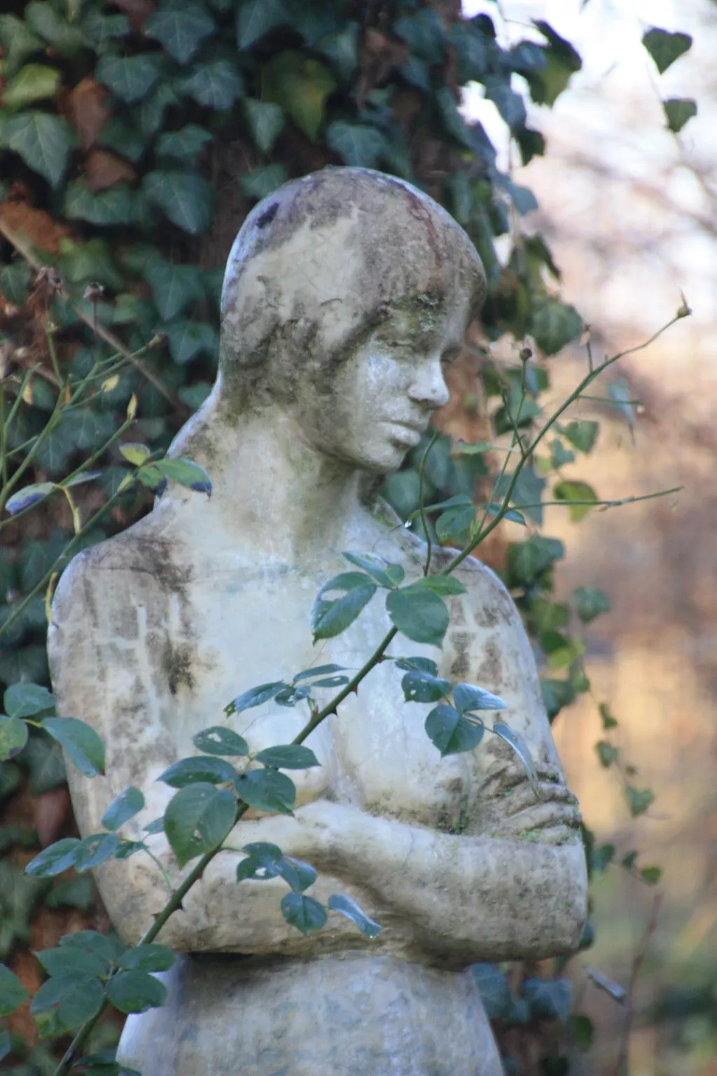 Wohlfühloase für Natur- und Gartenliebhaber-Buiten