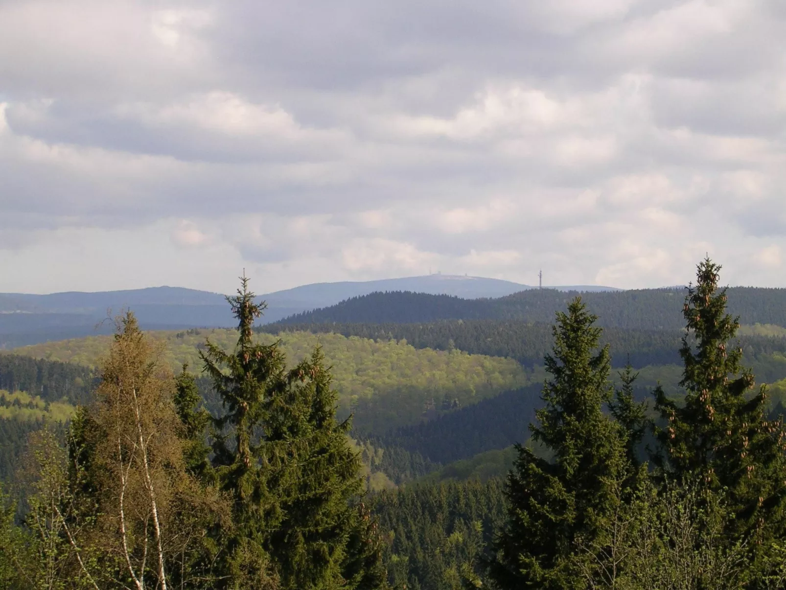 Der Falkenhorst-Buiten
