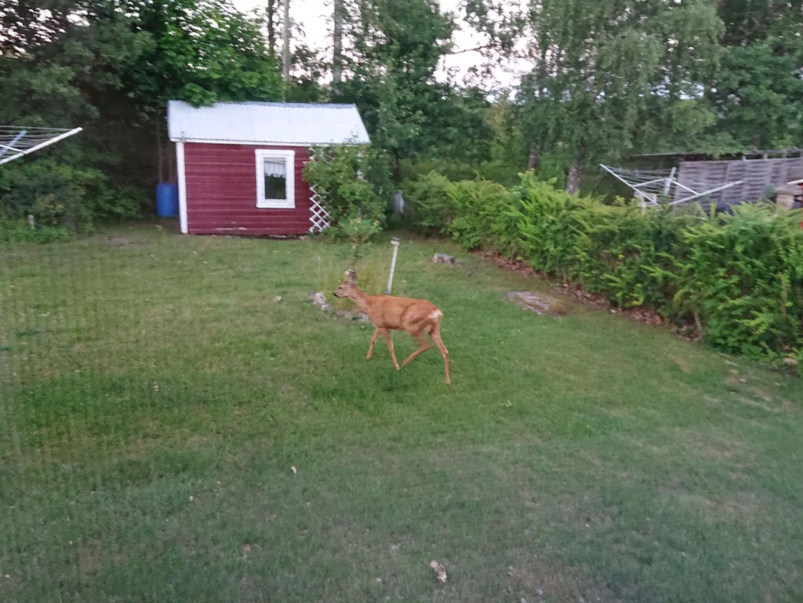 Familienfreundliches Ferienhaus mit großem Garten-Buiten