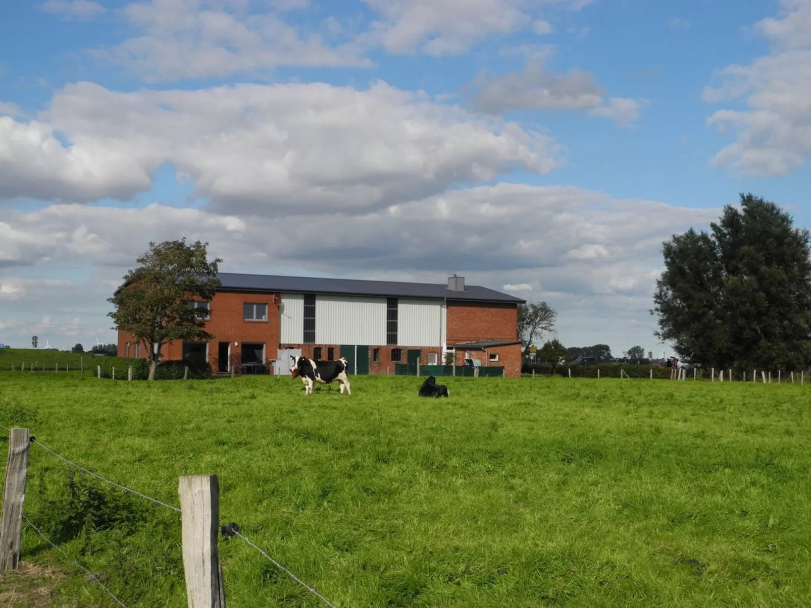 Geräumiges Ferienhaus mit Garten und Weitblick-Buiten