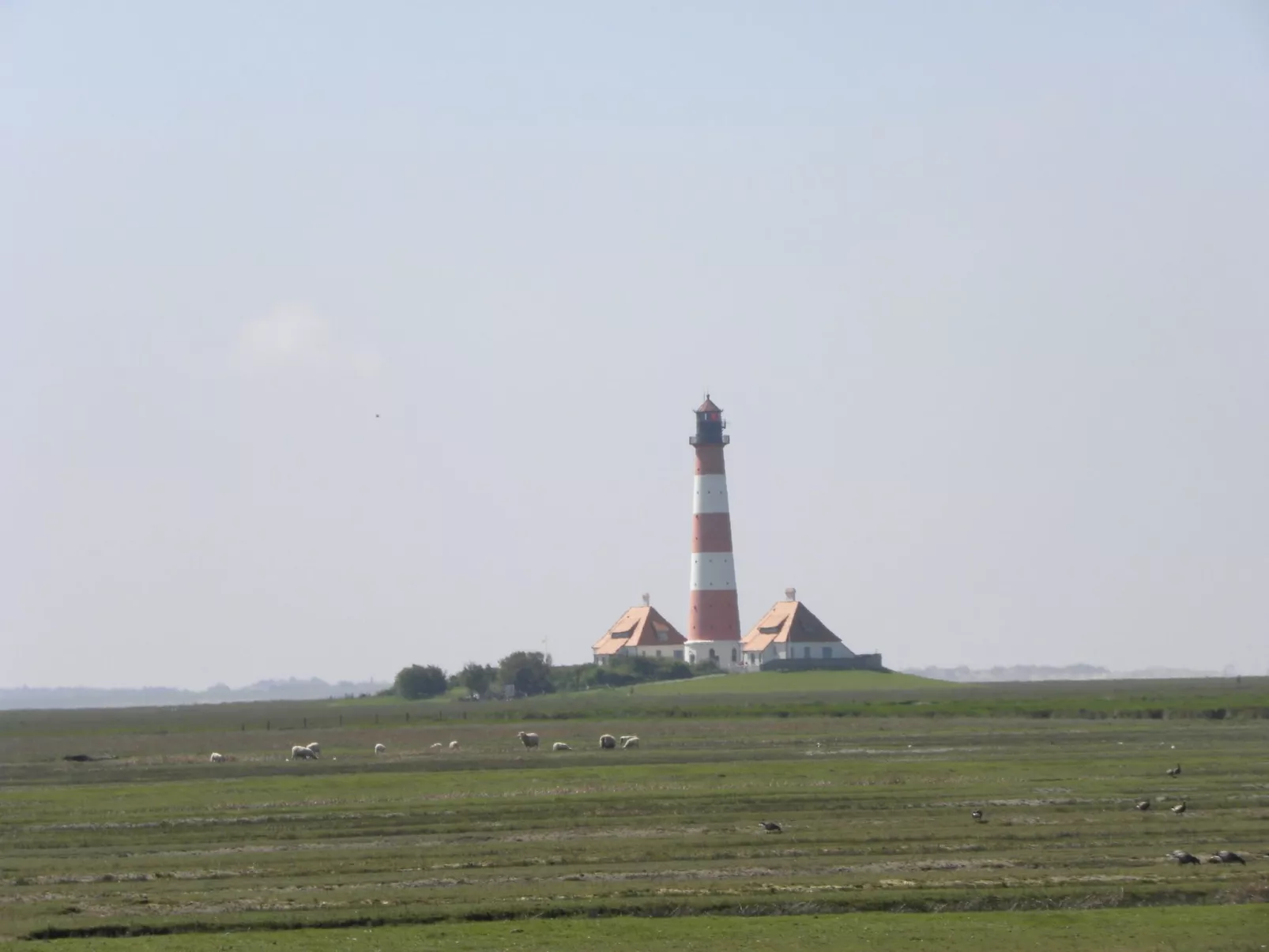 FeWo Austernfischer-Binnen