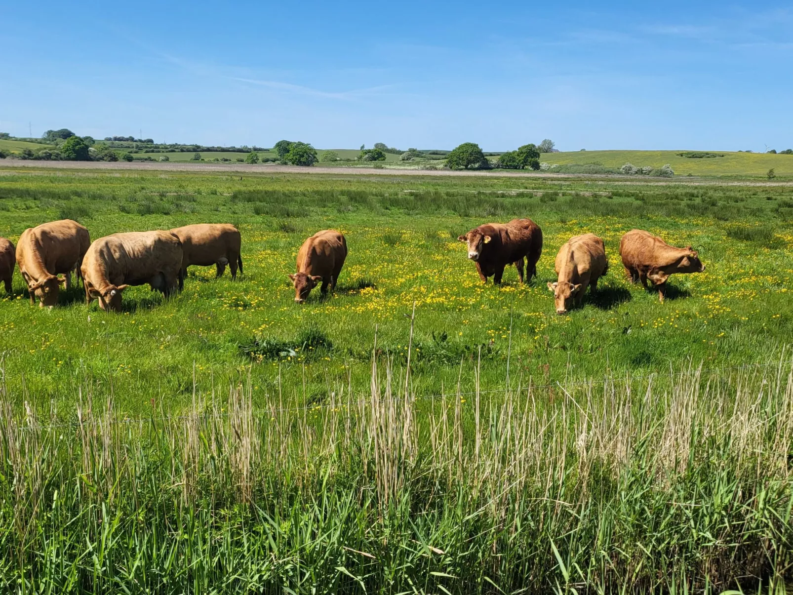 Modernes, geräumiges Haus mit großer Terrasse-Buiten