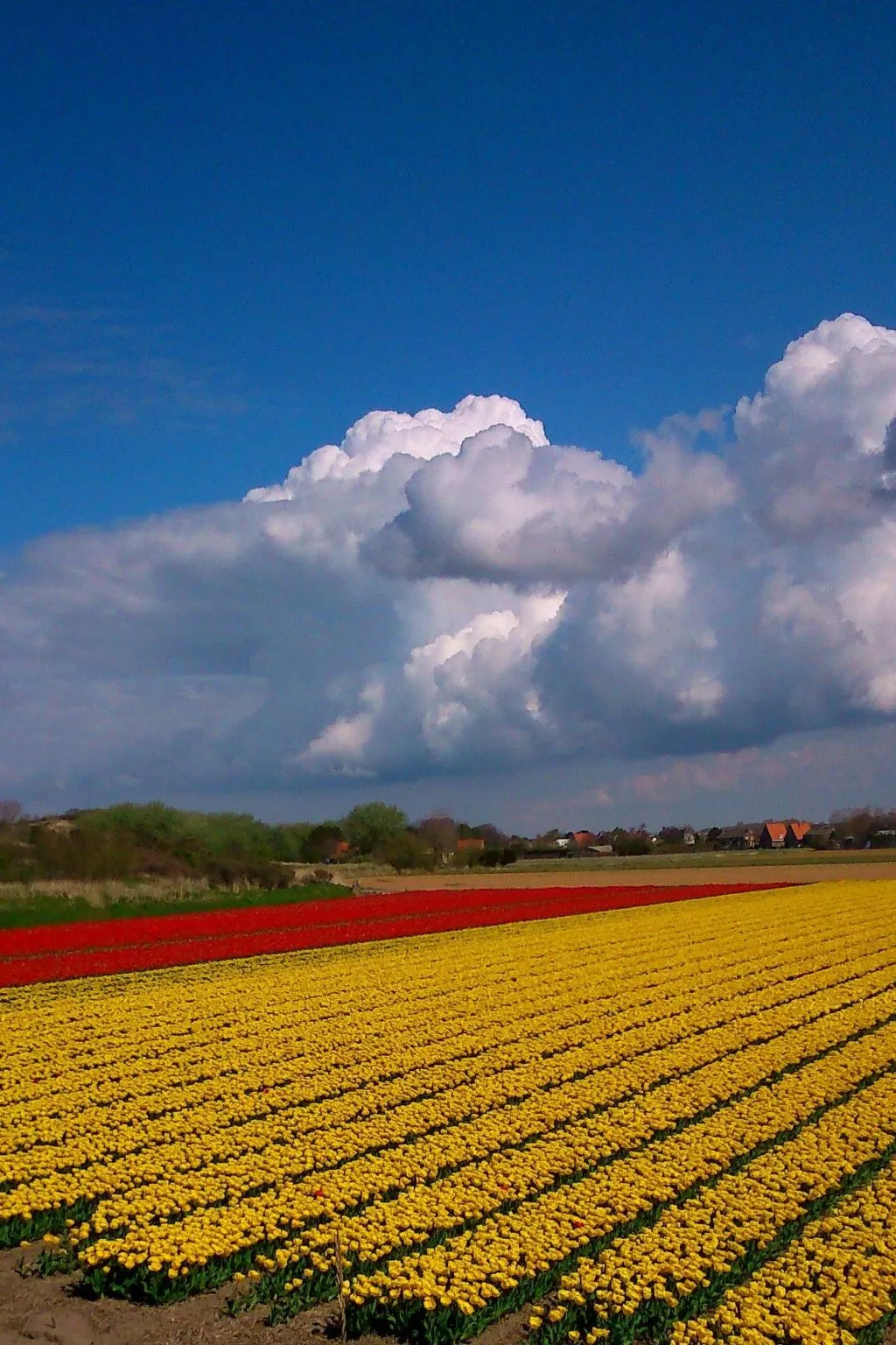 Sommerhaus in ruhiger Lage mit privatem Garten und Terrasse-Binnen