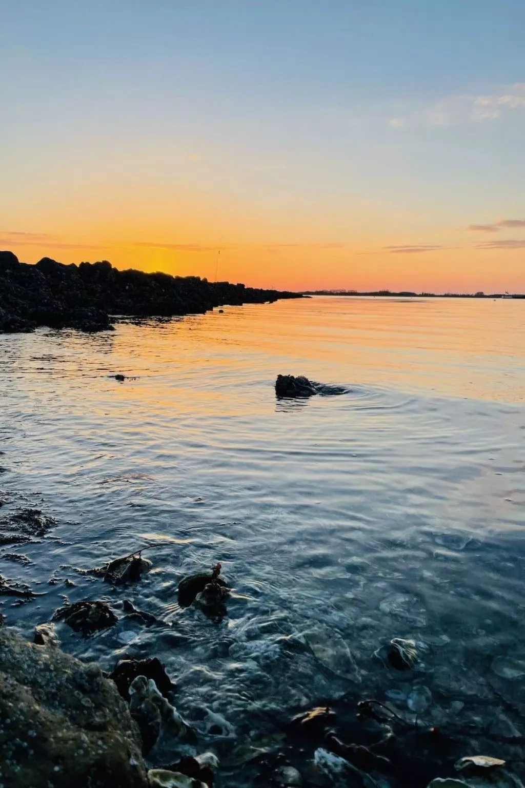 Reefhouse 57, wo es noch Raum für Ruhe gibt-Image-tags.info