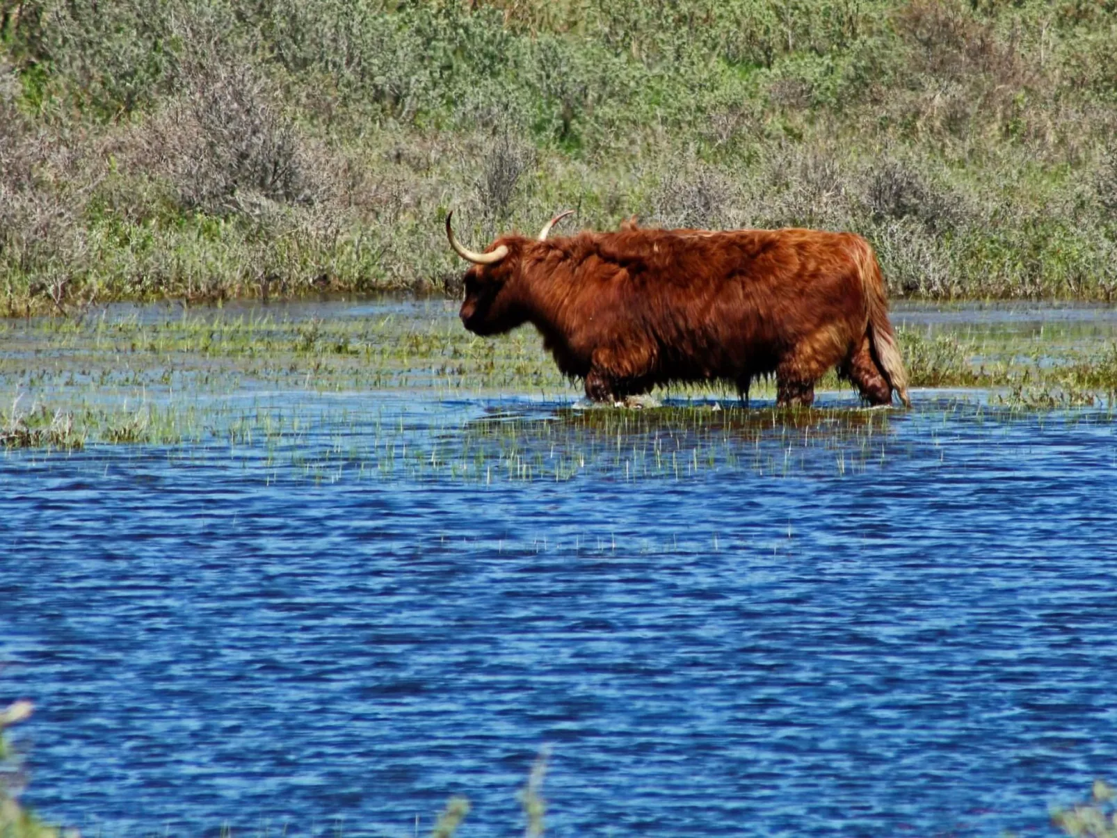 Sommerhaus Klein Wimmenum, Nähe Strand und Dünen-Image-tags.info