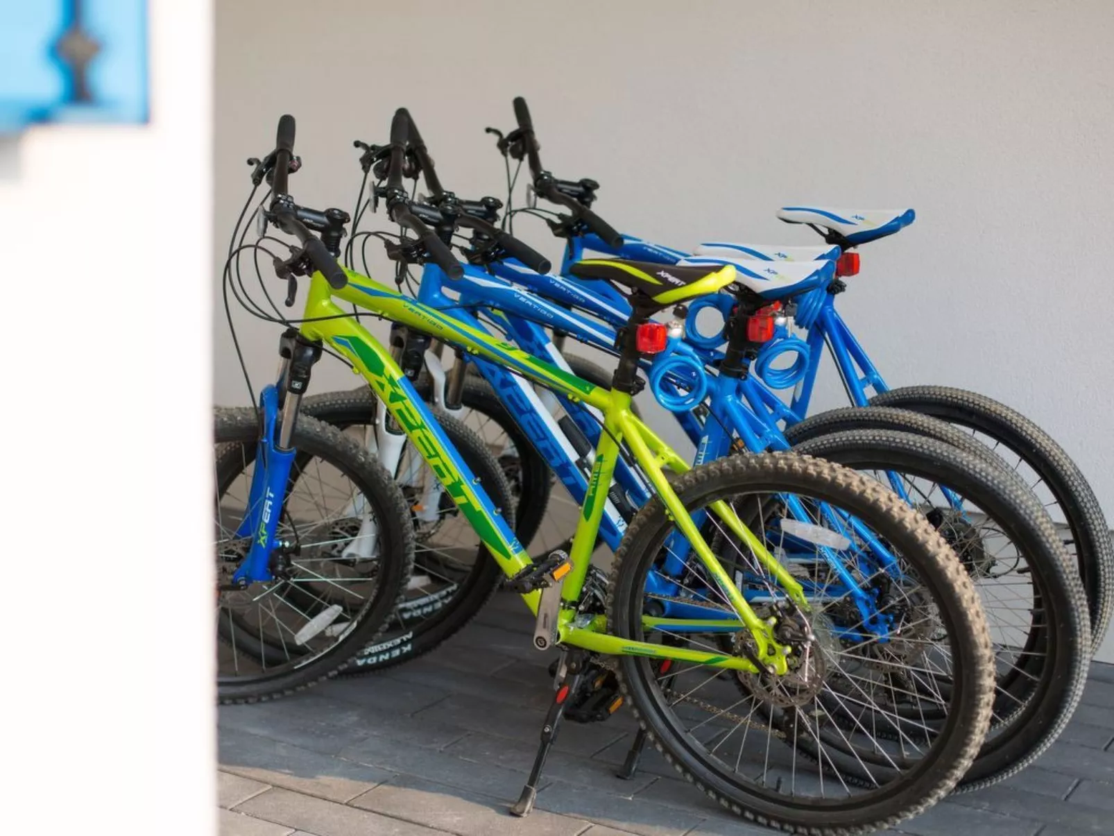 Strandvilla Miri Rose mit beheizbarem Pool-Binnen