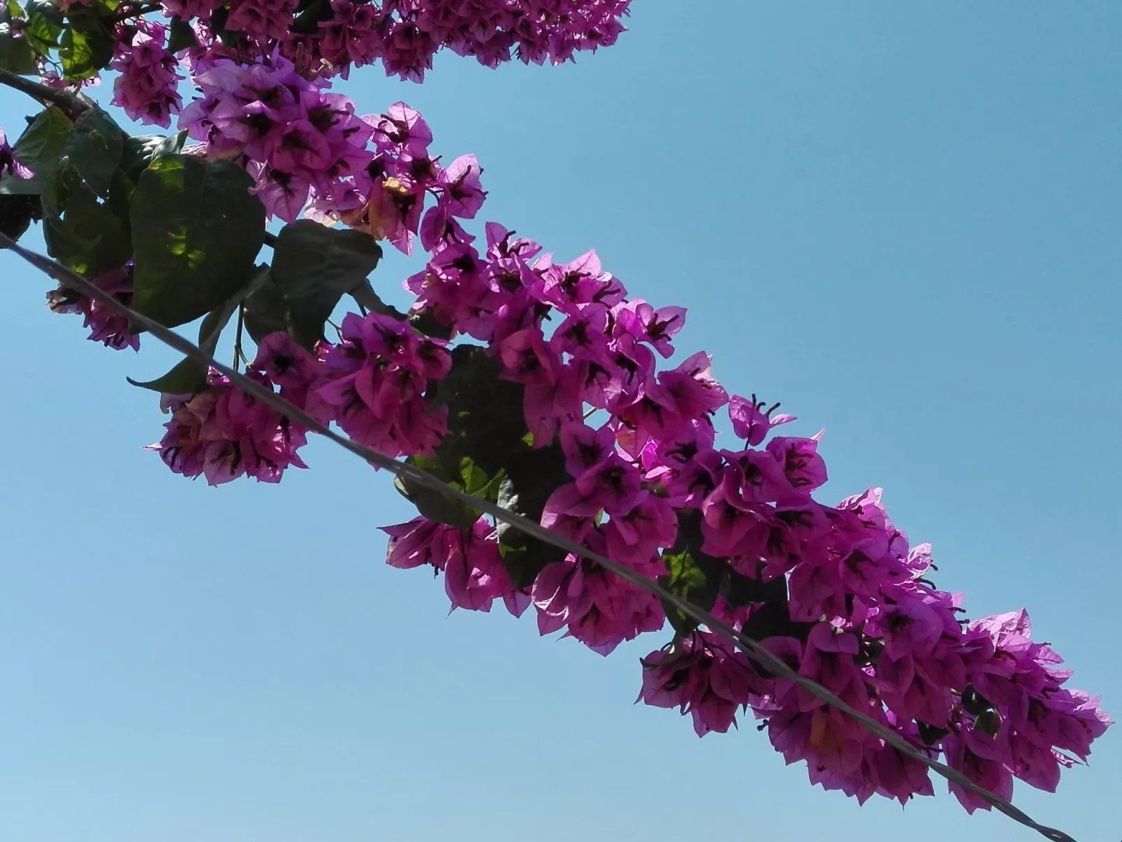 Wohnung mit Balkon und Meerblick-Binnen