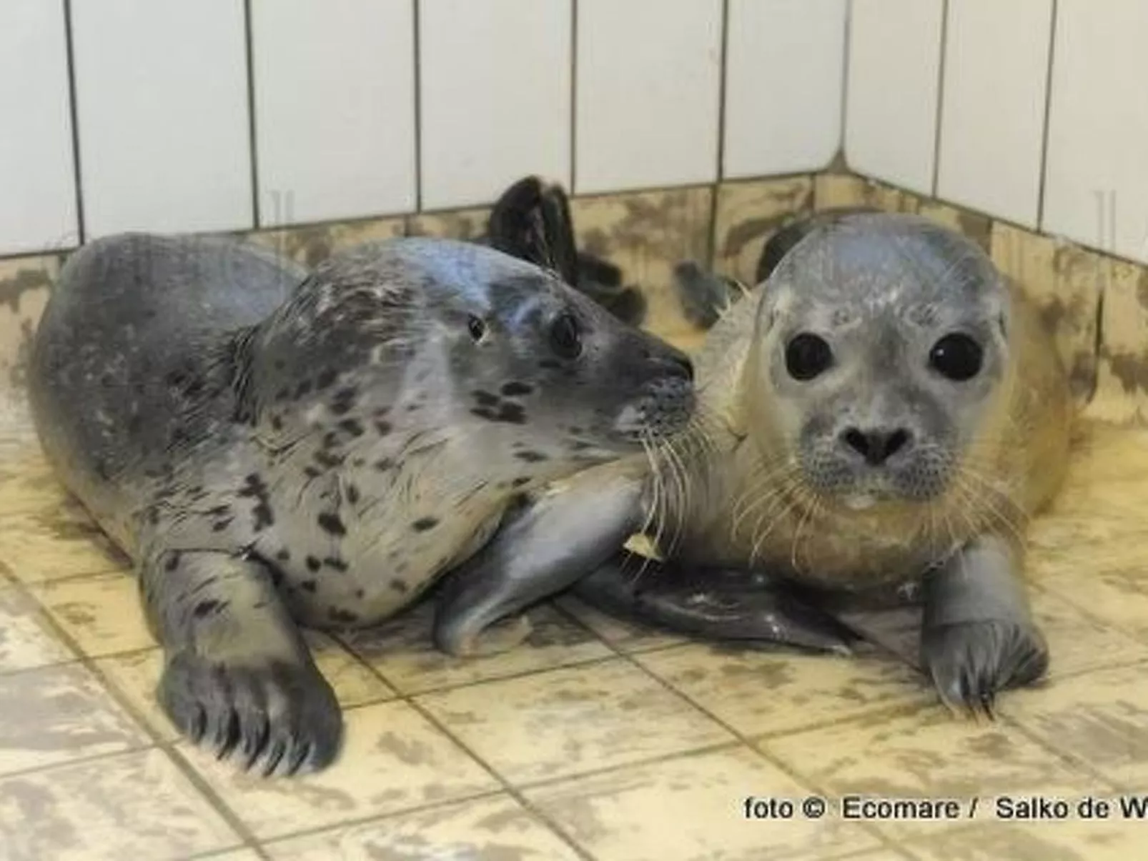 Gemütliches Ferienhaus De Blenck-Binnen