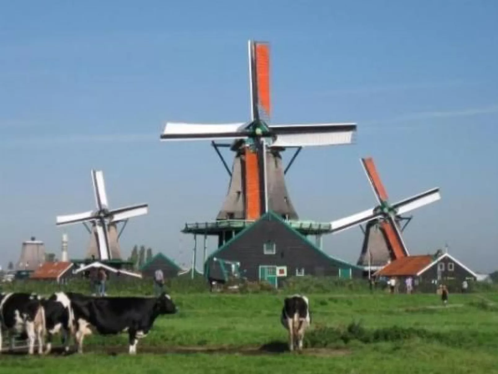 Gemütlicher Bungalow für 4 Personen-Binnen