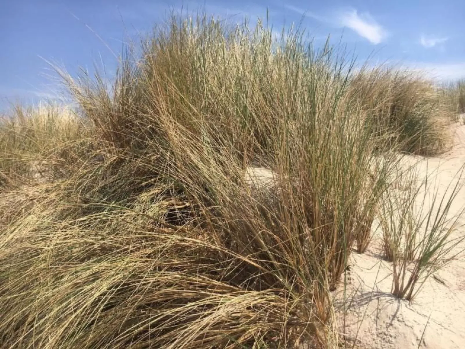 "Apartment 18B" mit Schwimmbad-Binnen