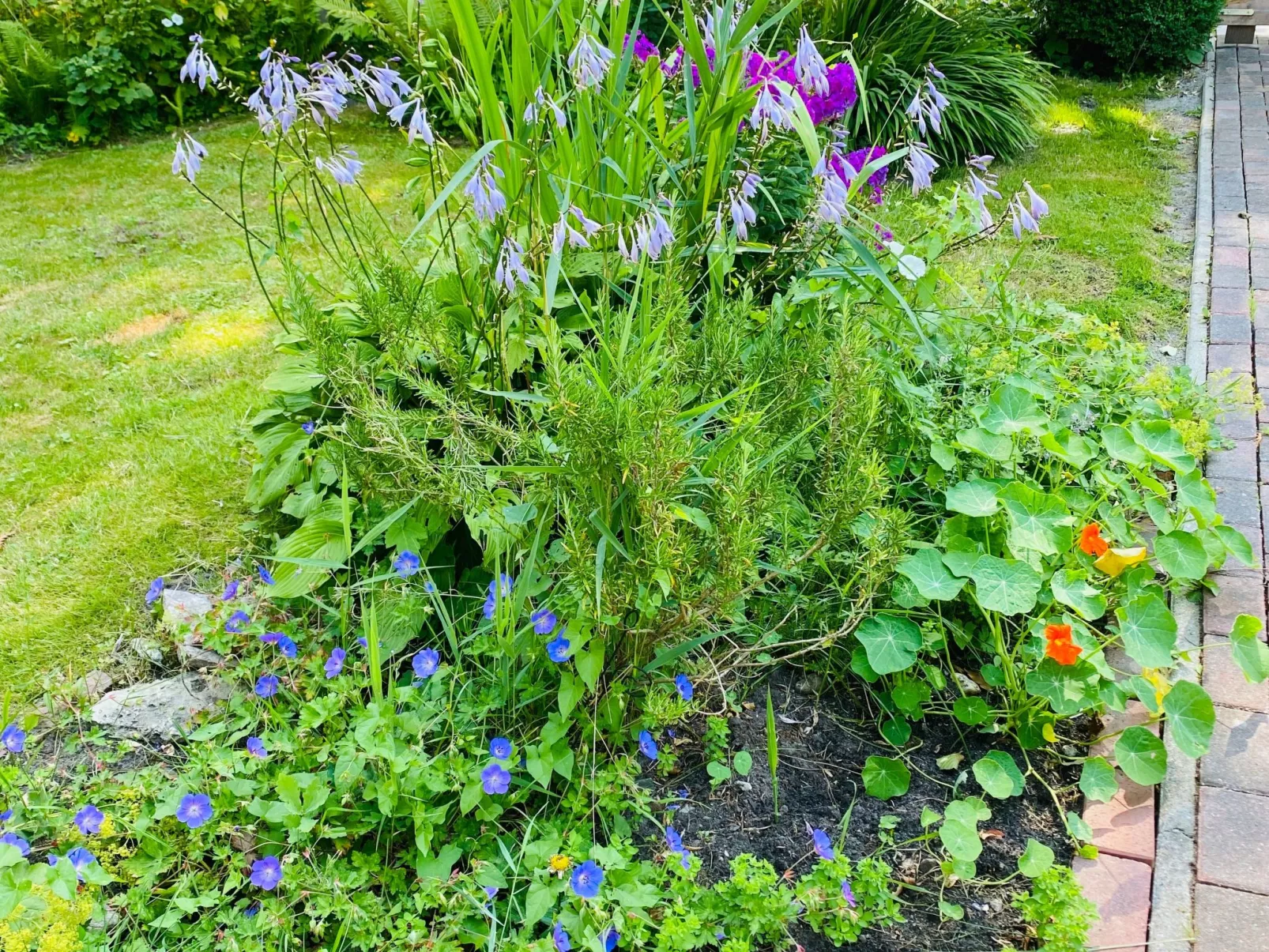 Kleines Gretchen-Buiten