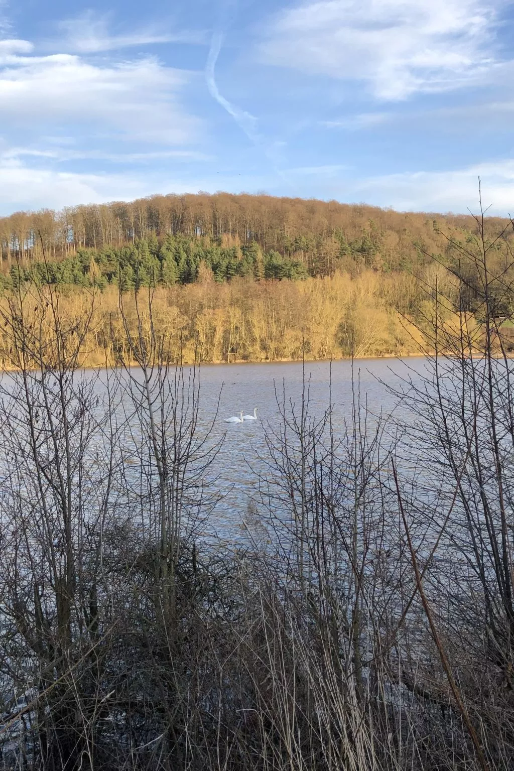 Wunderschönes Ferienhaus am Waldrand-Binnen