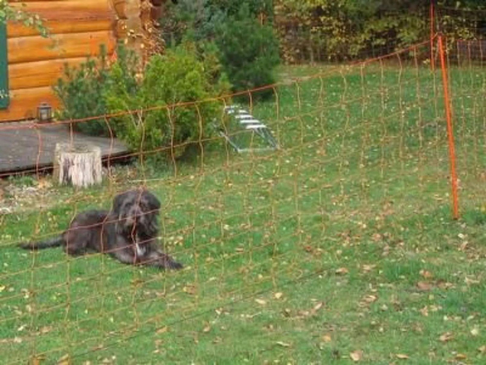 Dat Steinhus-Image-tags.info