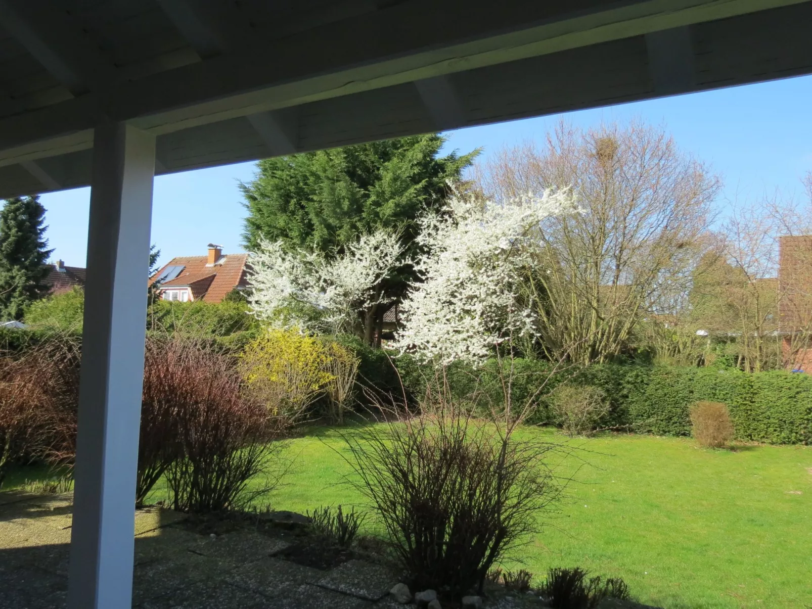 Erdgeschosswohnung im Haus "Silva Mare"-Buiten