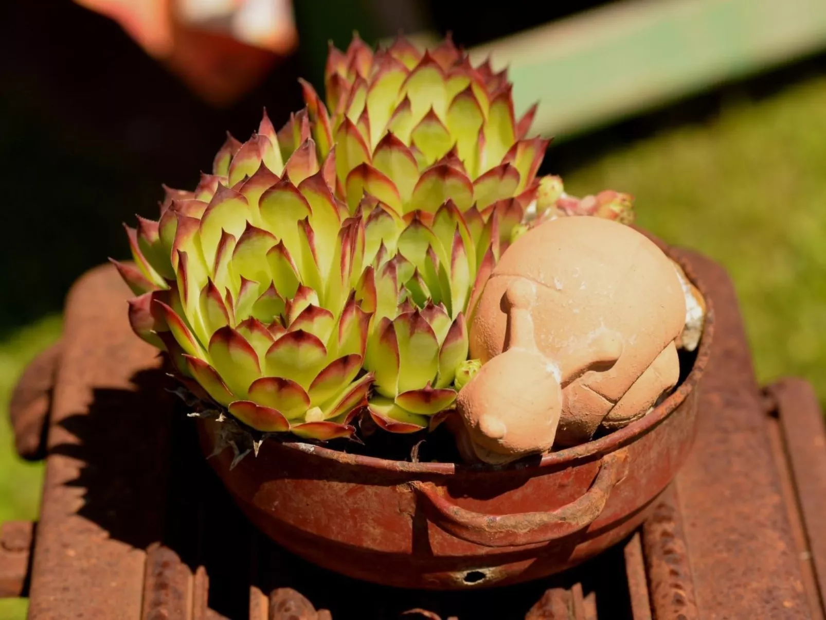 Kleine Wohnung in Seeboden mit Großem Garten - Image-tags.info