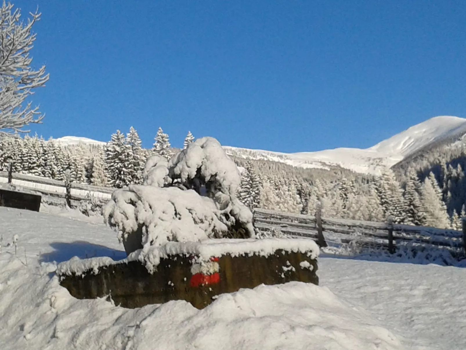 Freistehendes Ferienhaus in idyllischer Lage-Image-tags.info