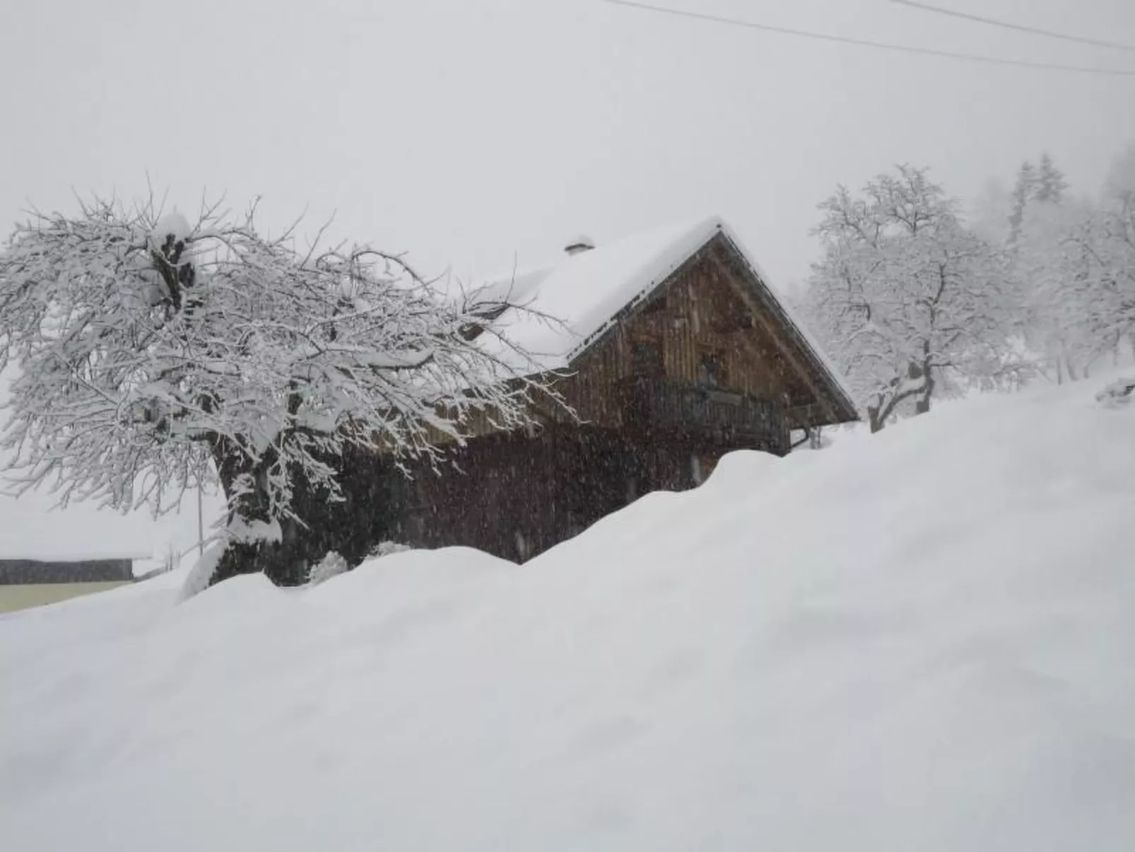 Schmiedbauer Hütt`n-Image-tags.info