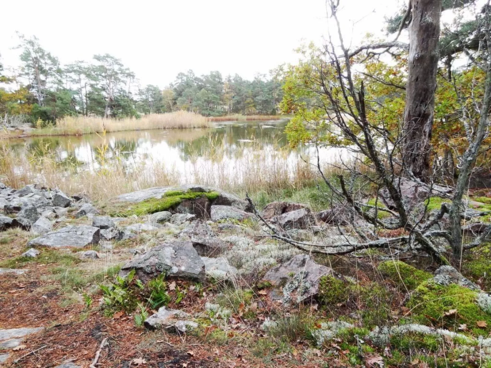 Mit Sauna und Kaminofen sowie Terrasse-Binnen