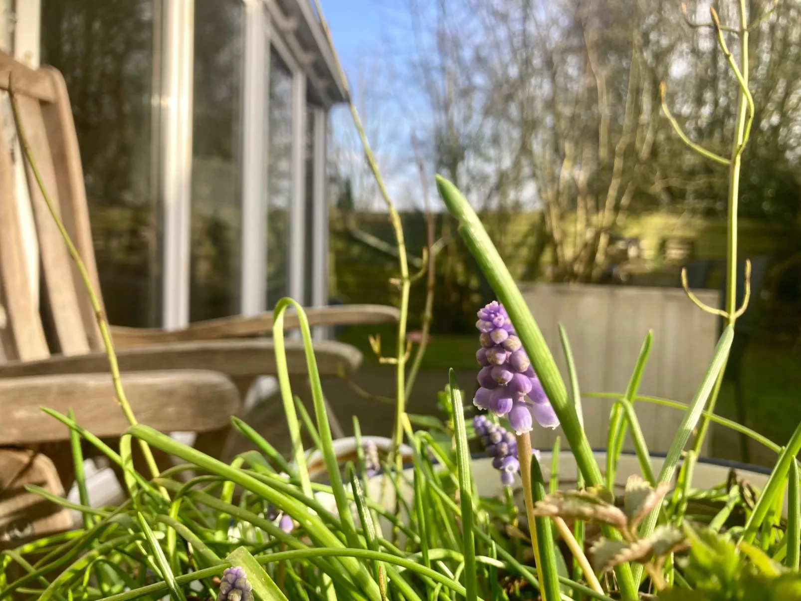 Ruhiges Ferienhaus mit großer offener Küche-Binnen