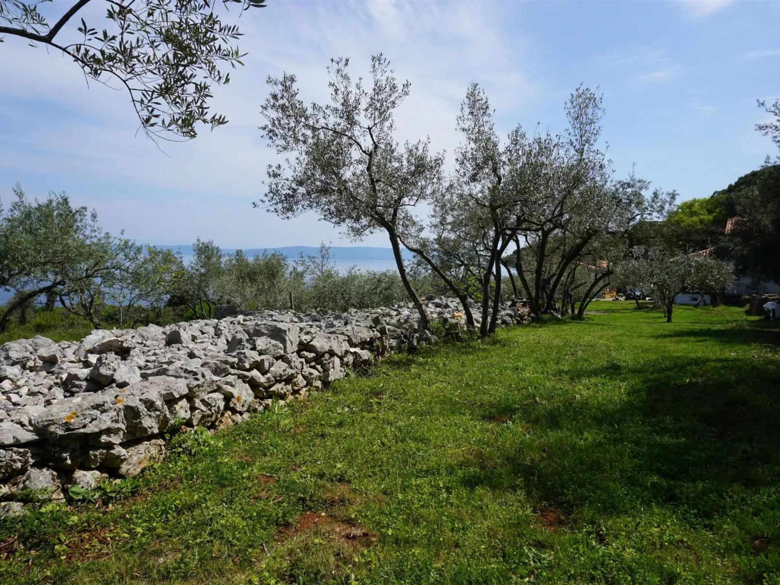 "Istria" mit eigenem Pool-Buiten