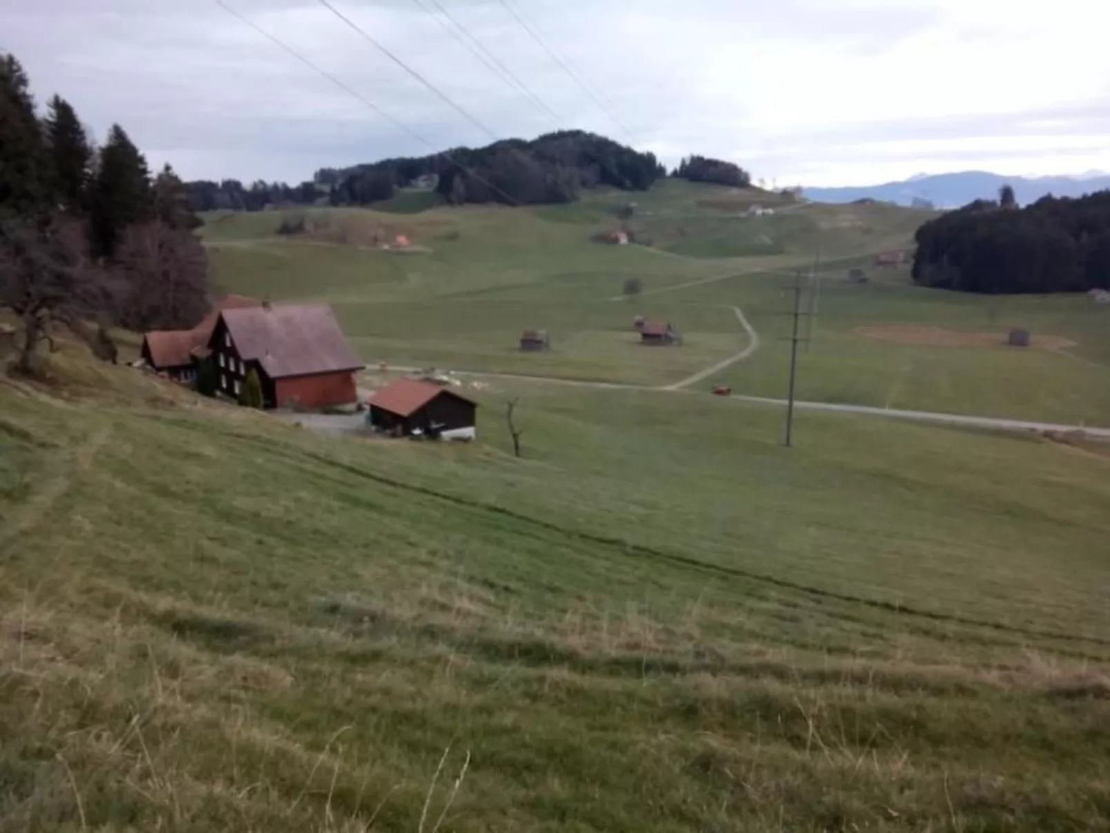 Ferien in der Vogelherd-Binnen