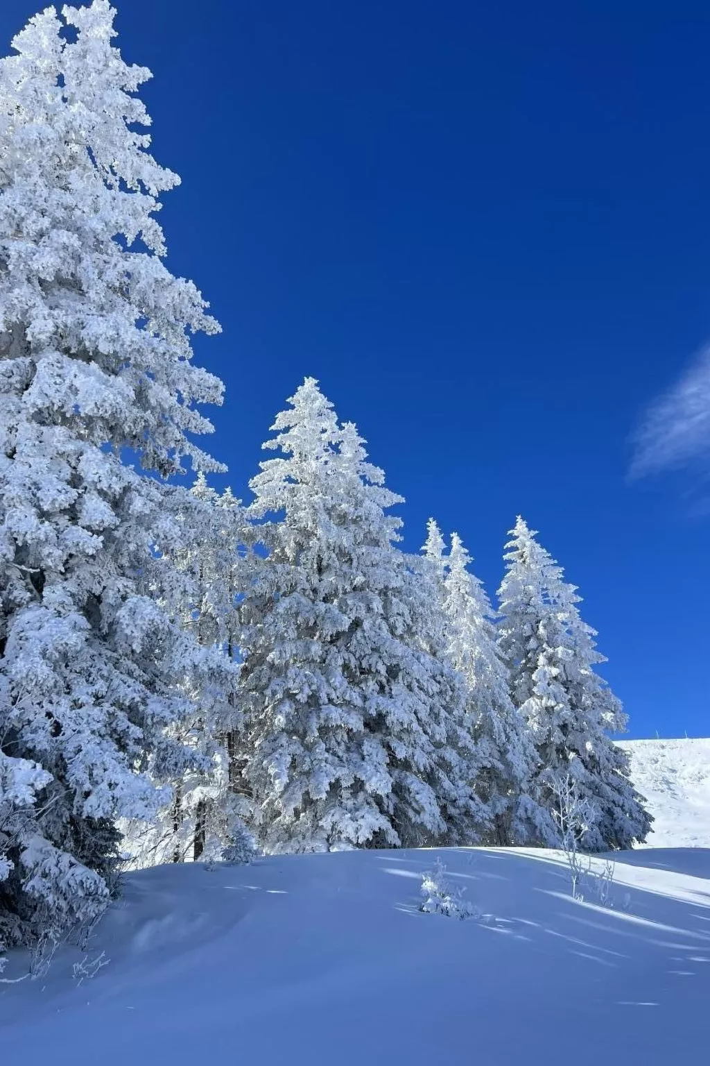 Berg-Ferienwohnung  im Chalet  Zirbeli-Binnen