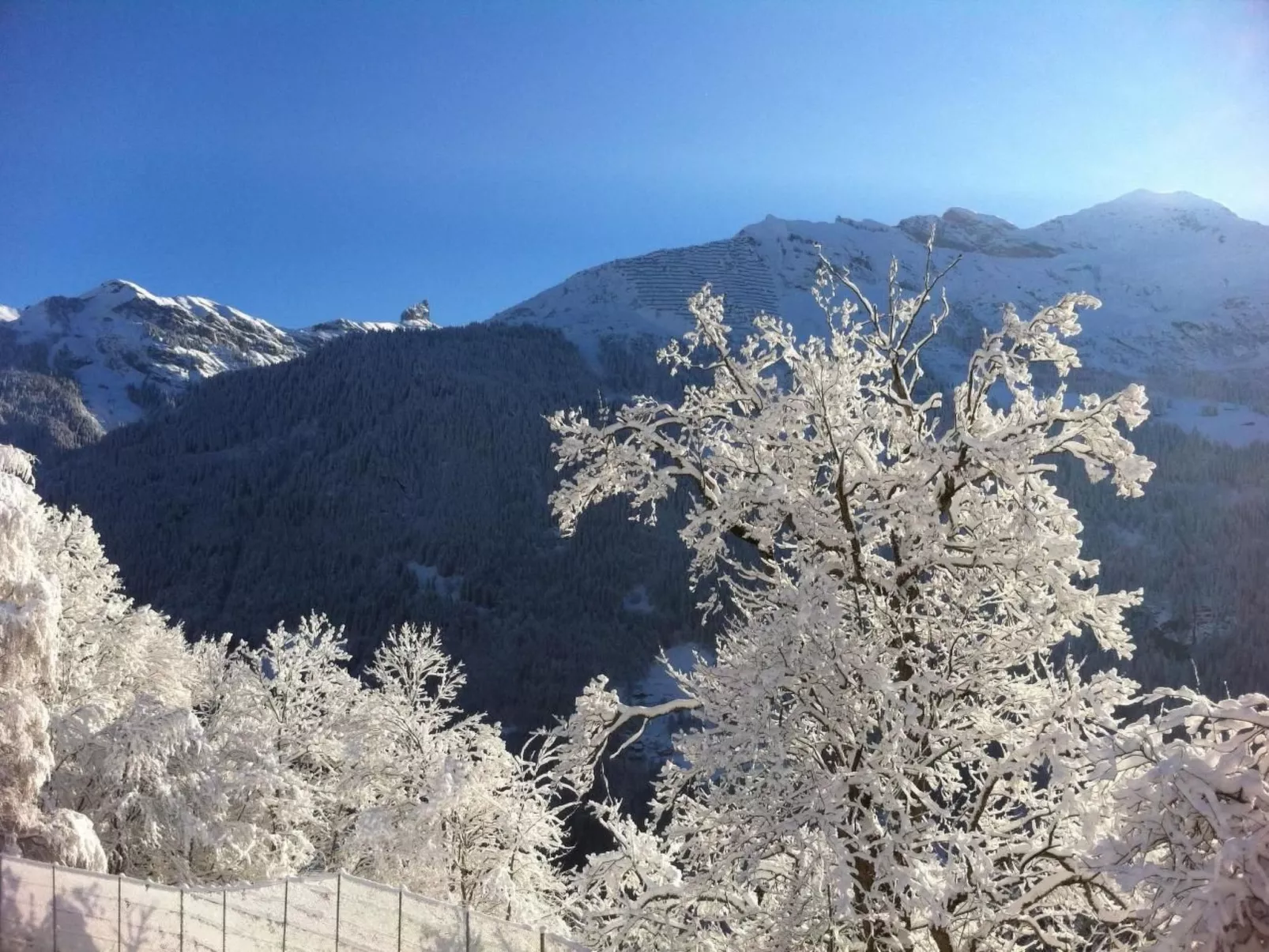 Chalet Birkli-Binnen