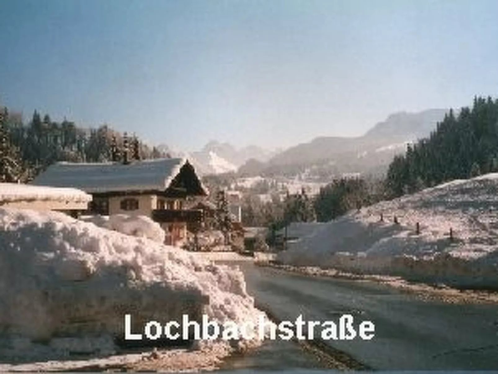 Sport Alpin Wh 230-Binnen