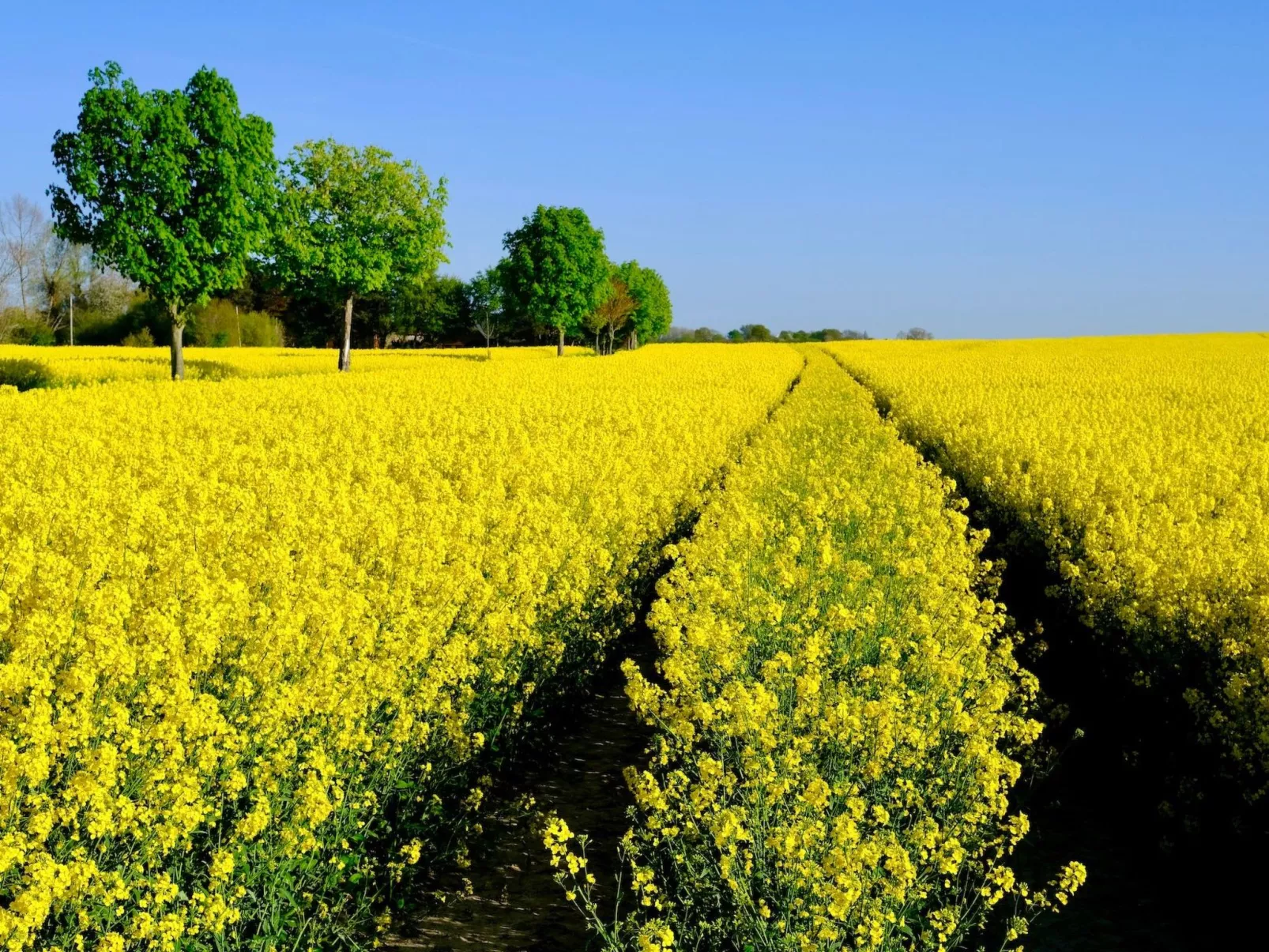 Das Meerchenhaus-Binnen