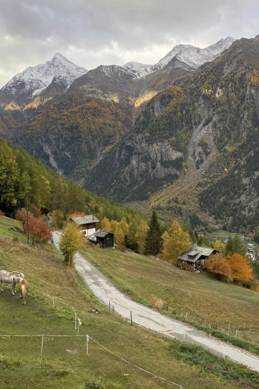 Chalet Spycher-Binnen