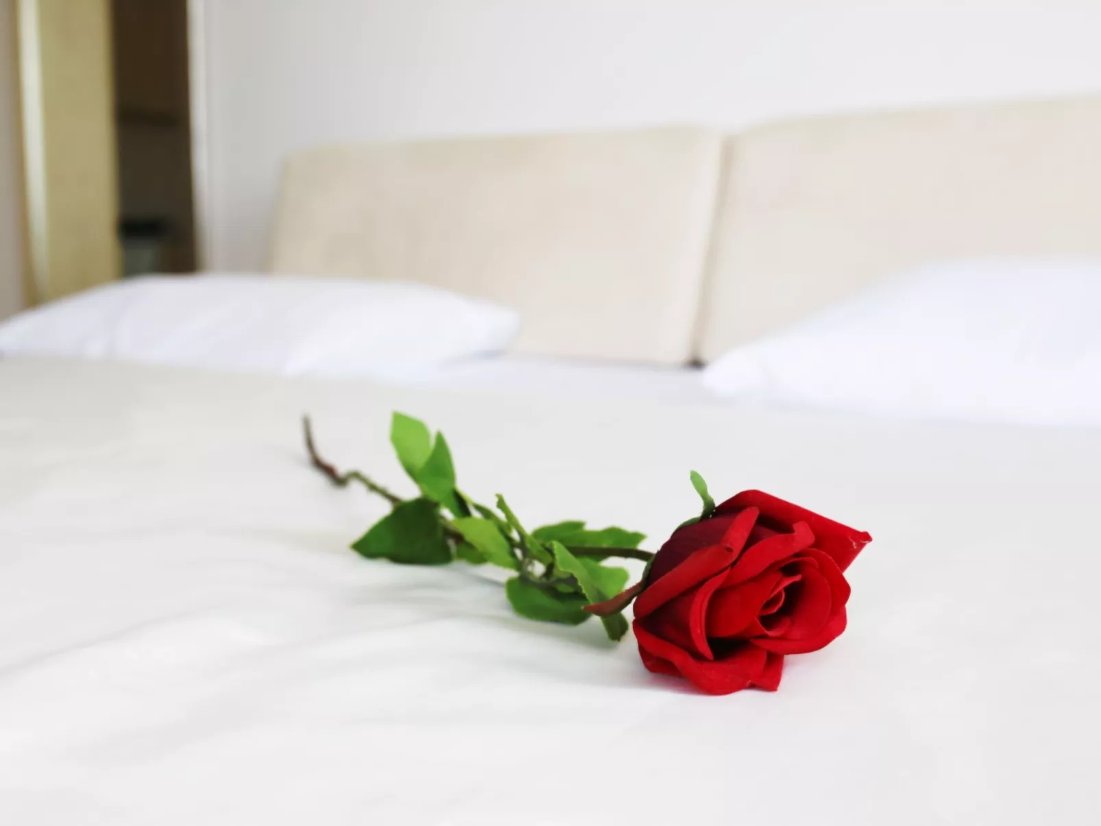 Duplex-Apartment mit Blick auf das Meer und den Garten-Binnen