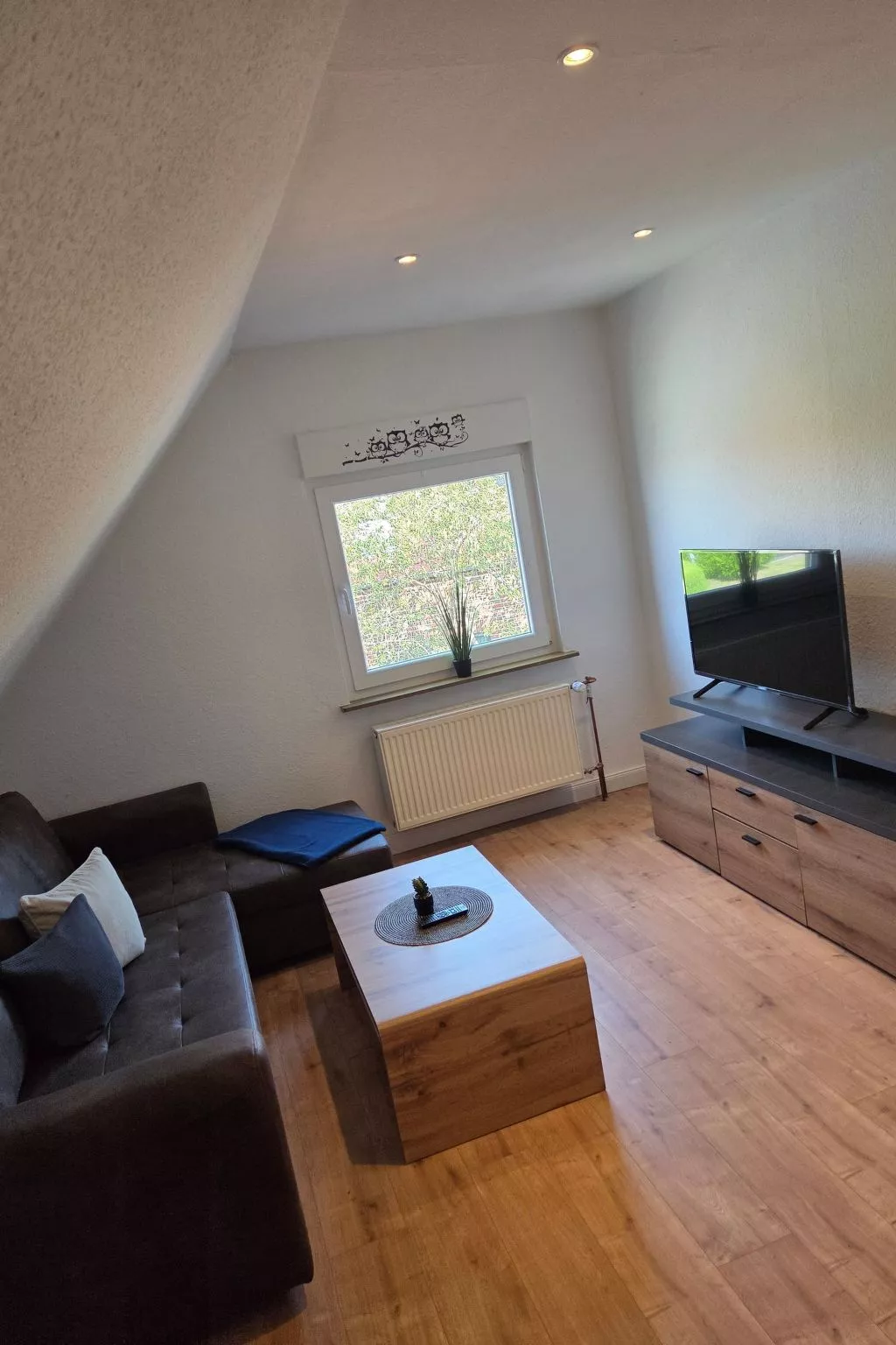 Sonnenschein OG-Binnen