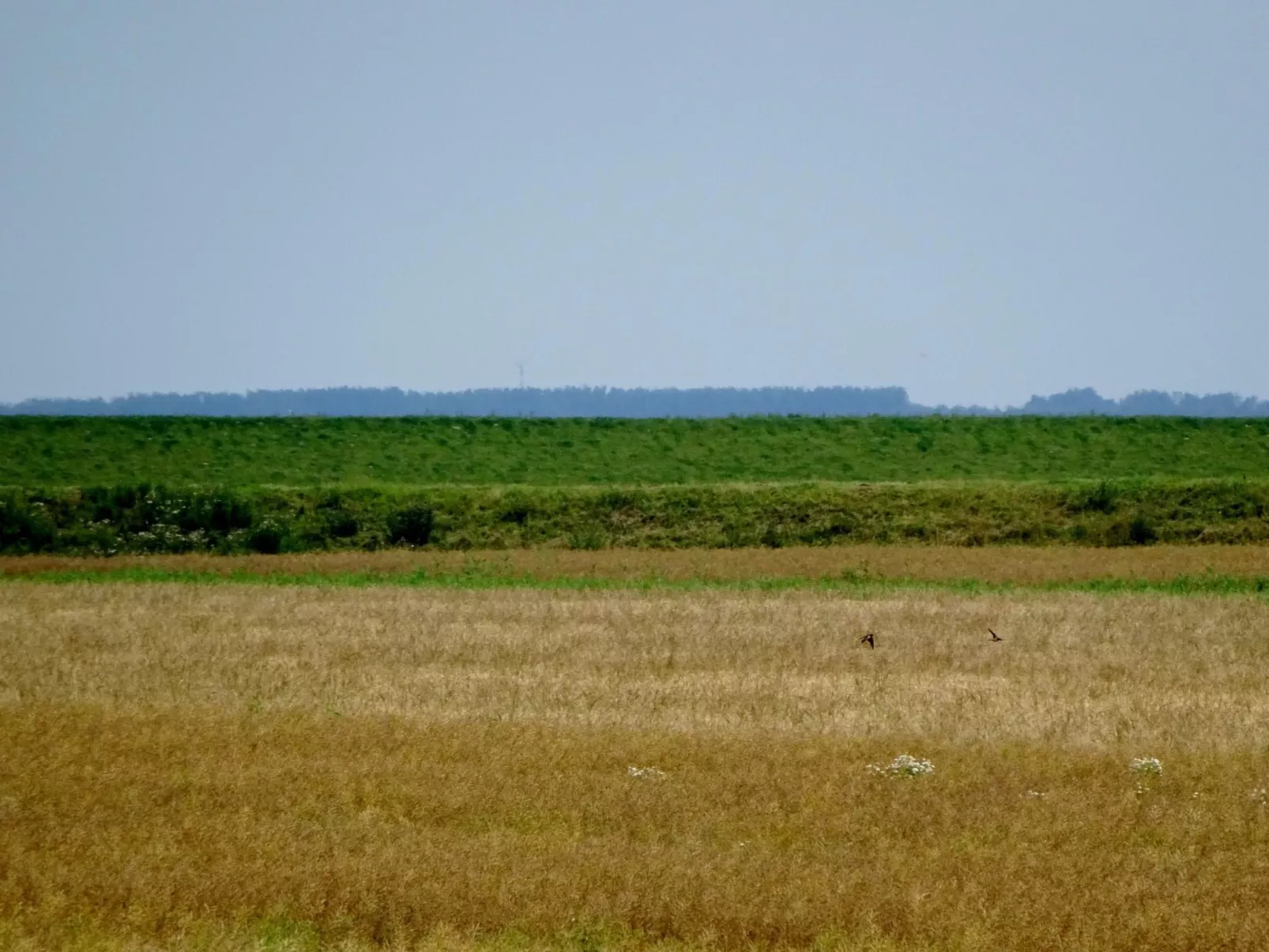 Komfortable Doppelhaushälfte und großem Garten-Binnen