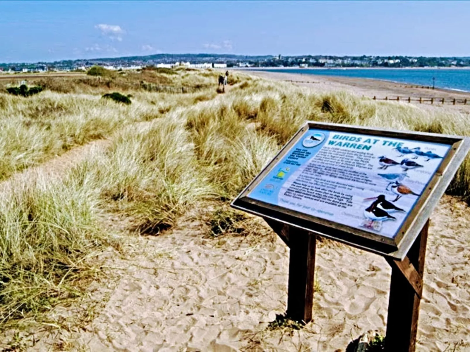 In Dawlish Warren, Devon, für 4 Personen-Buiten