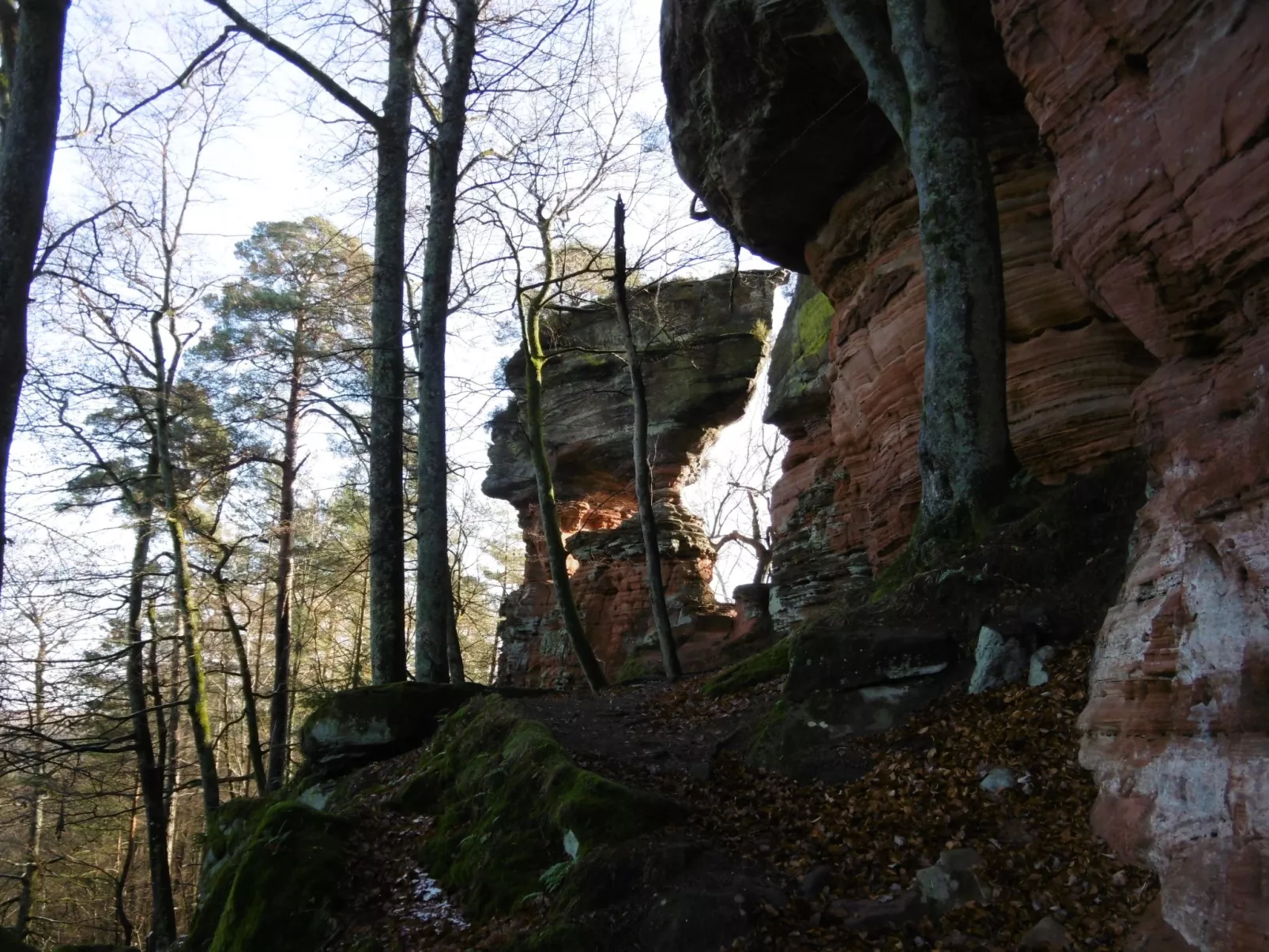 LES BRIMBELLES-Binnen