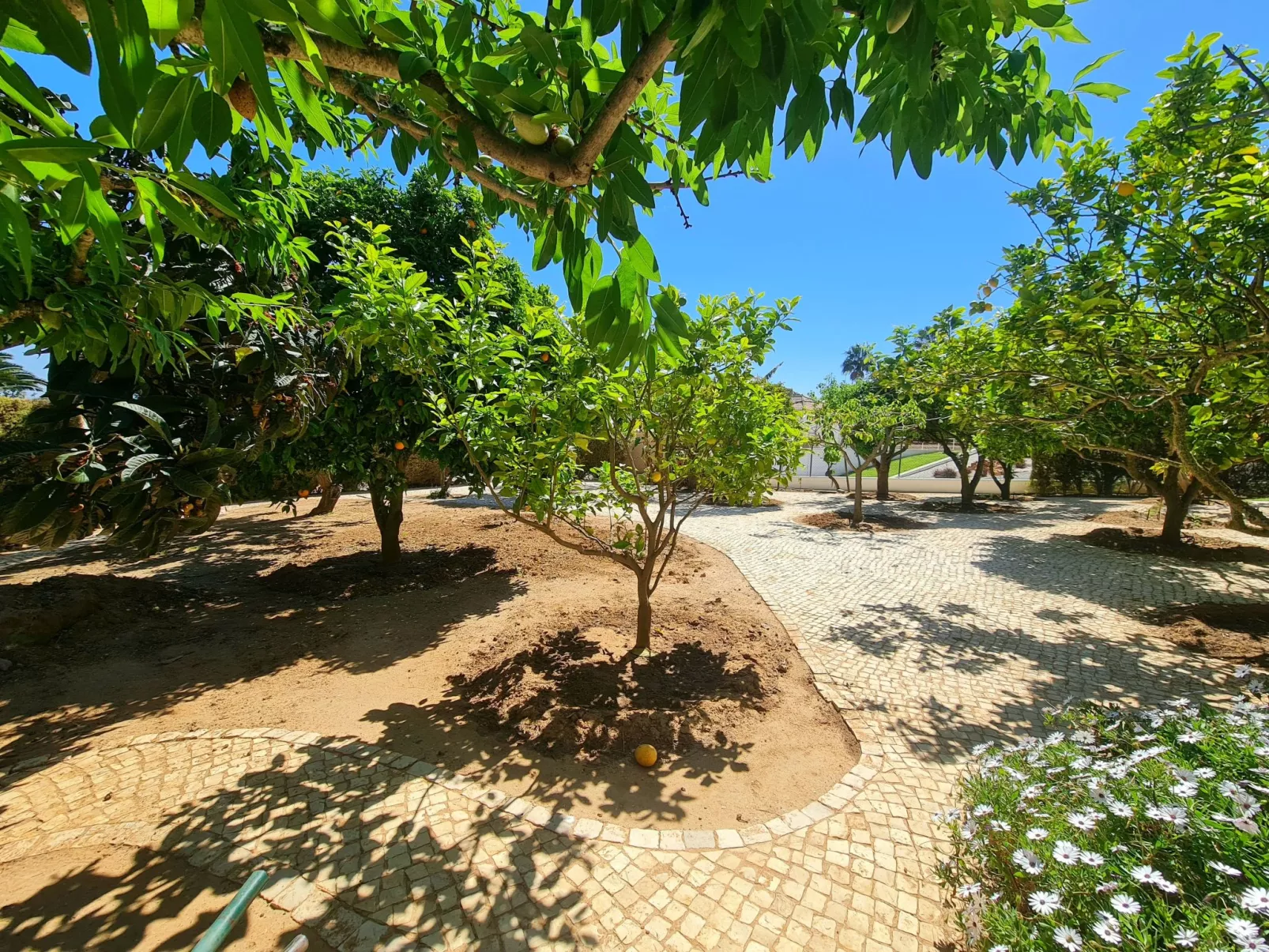 Villa Mar á Vista-Buiten