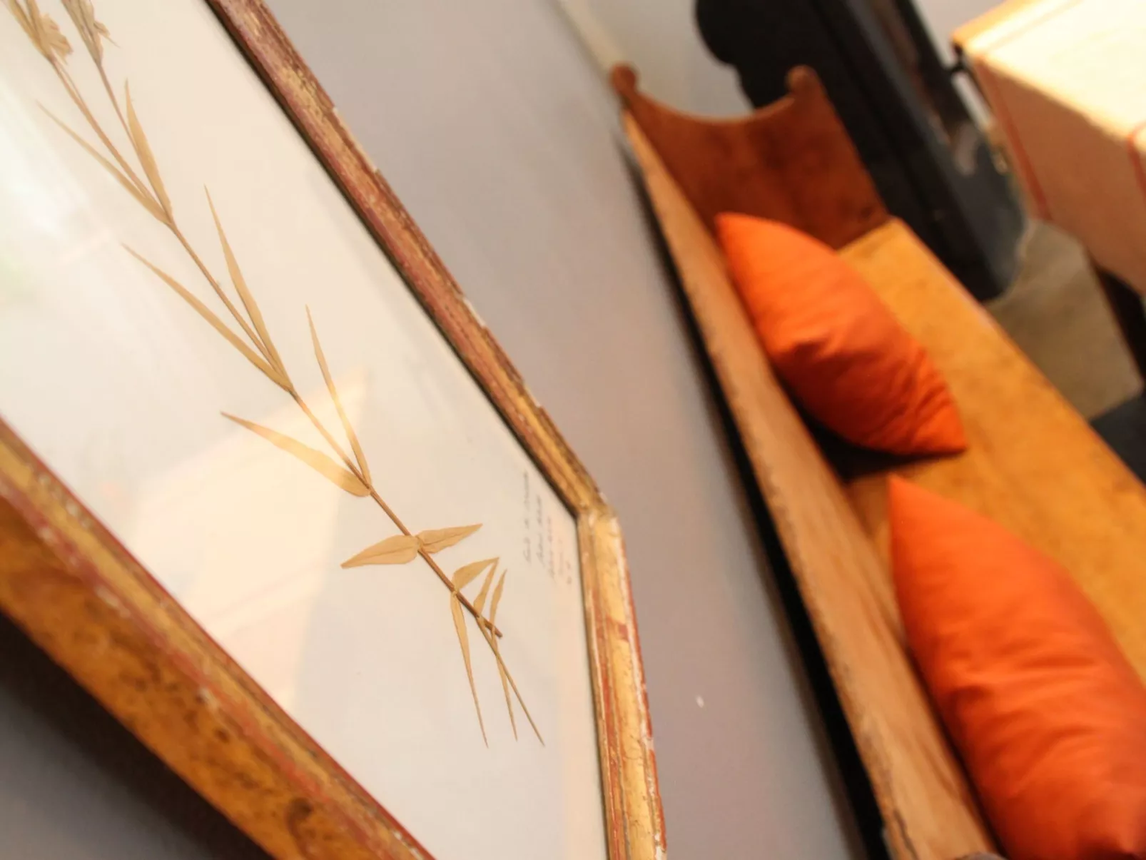 Coeur des Monts d'Ardeche-Binnen