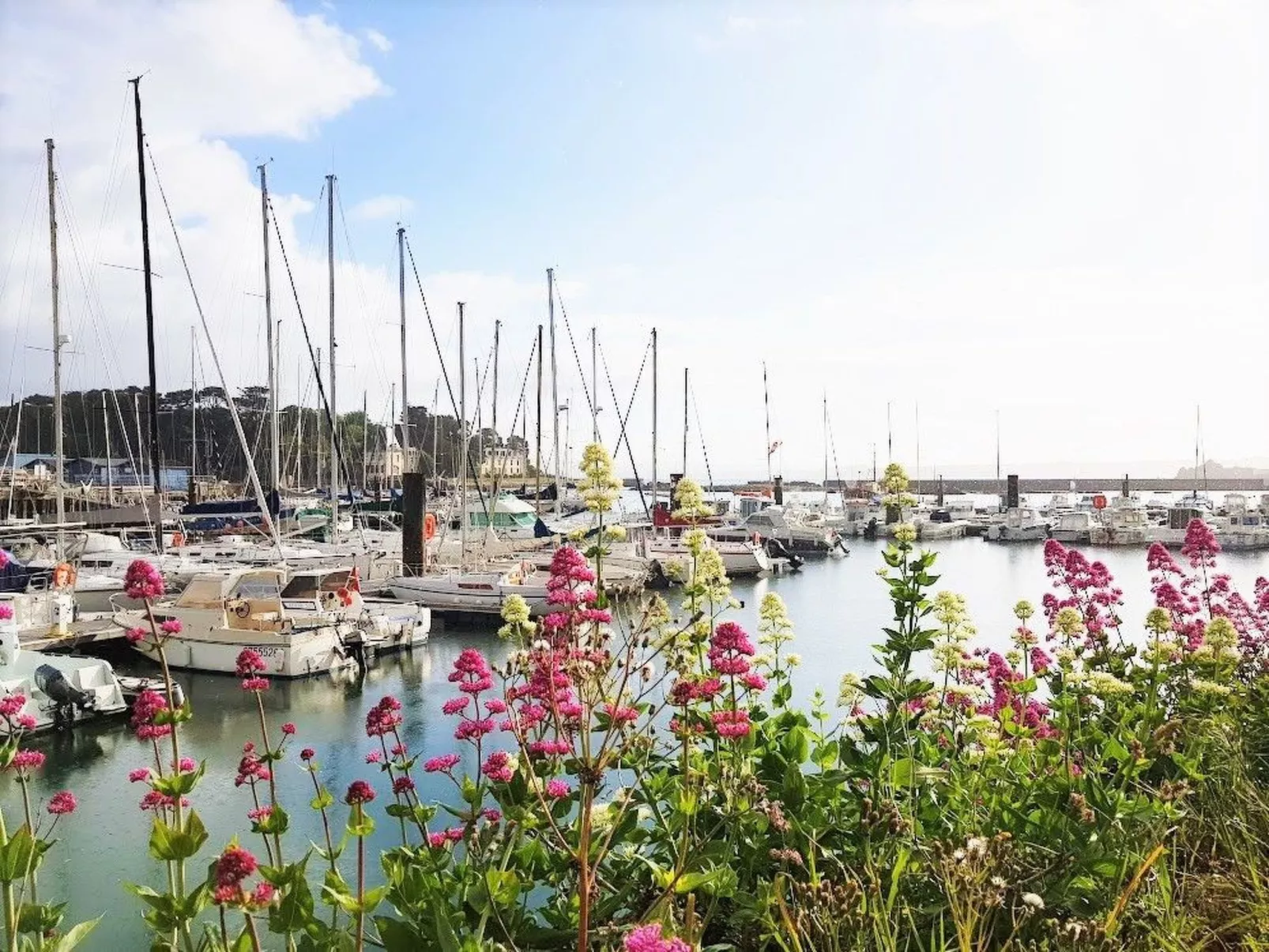 Hütte für vier Personen-Buiten